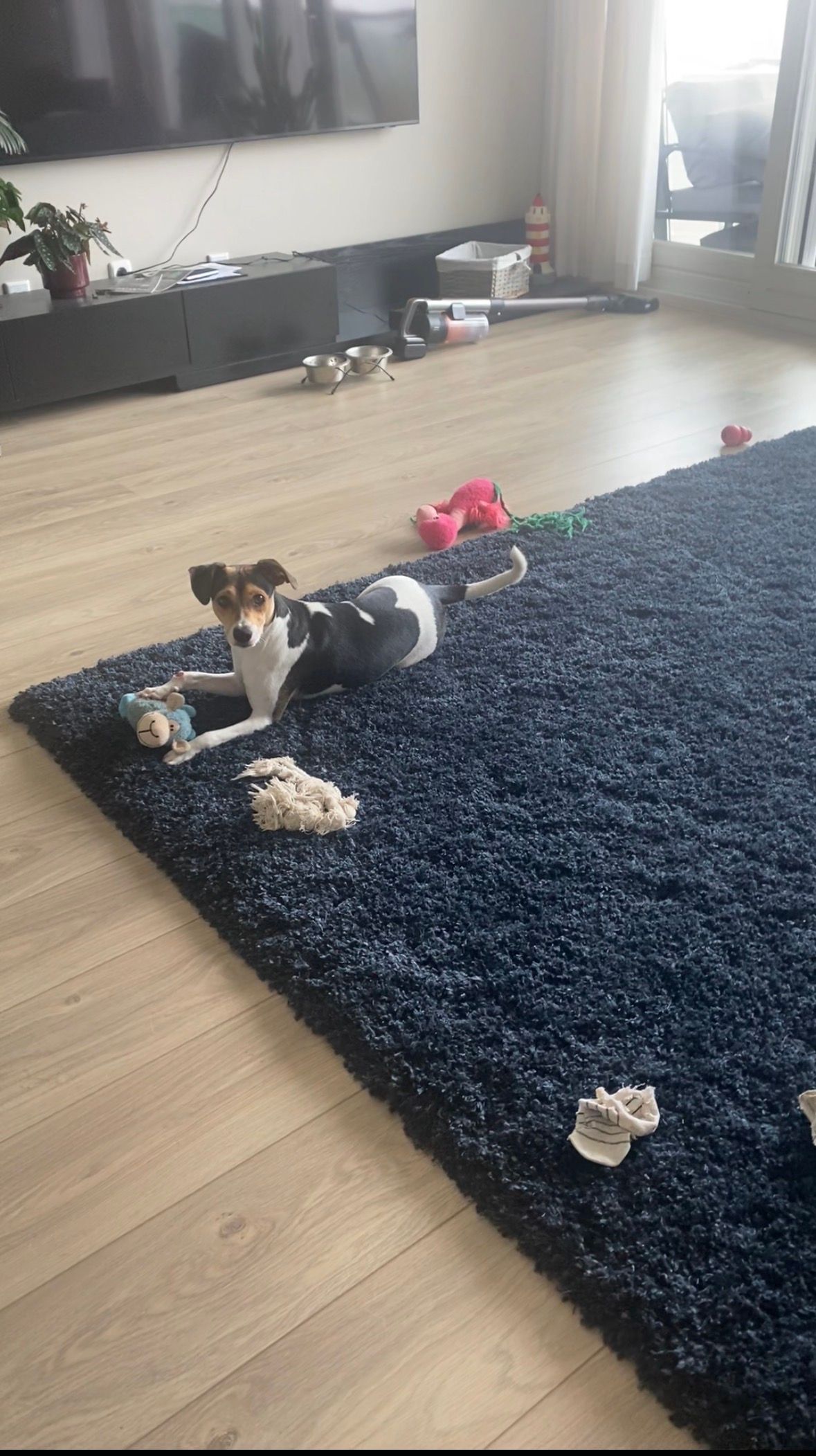 image-7