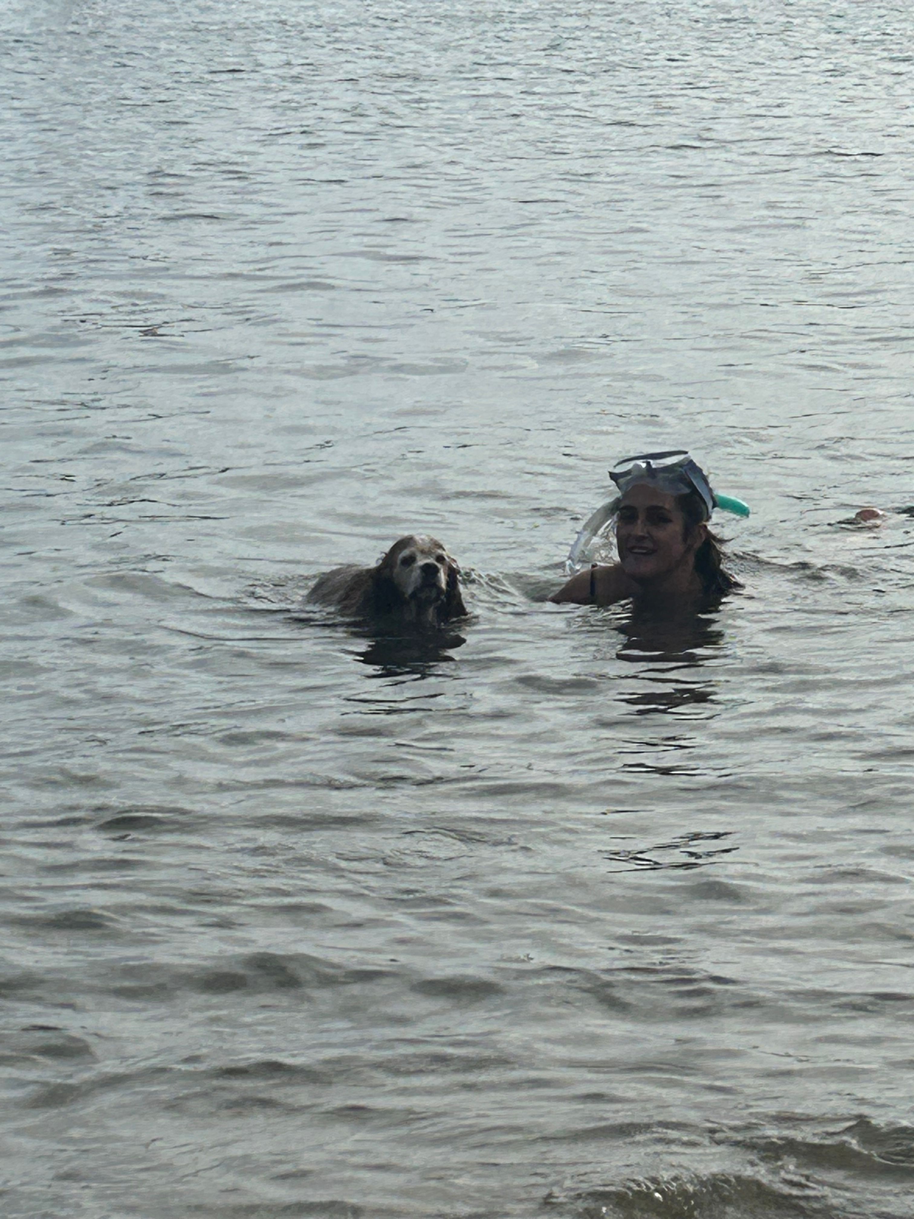 image-84