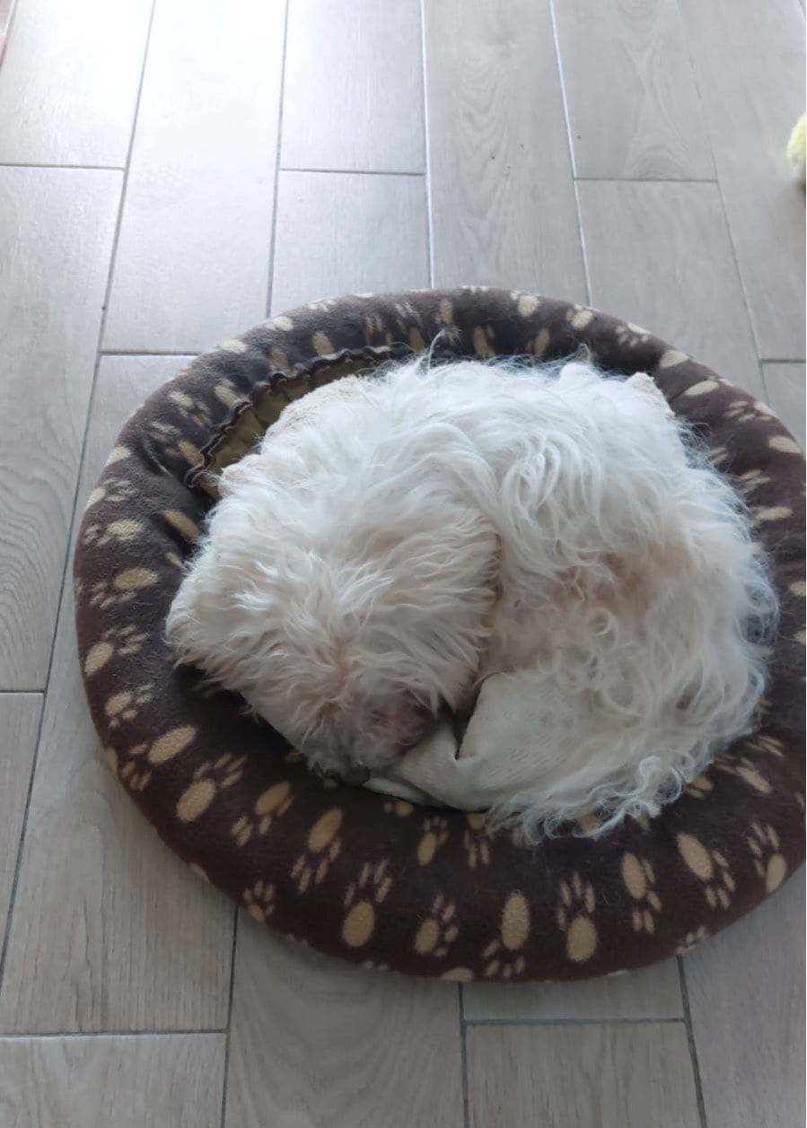 image-3