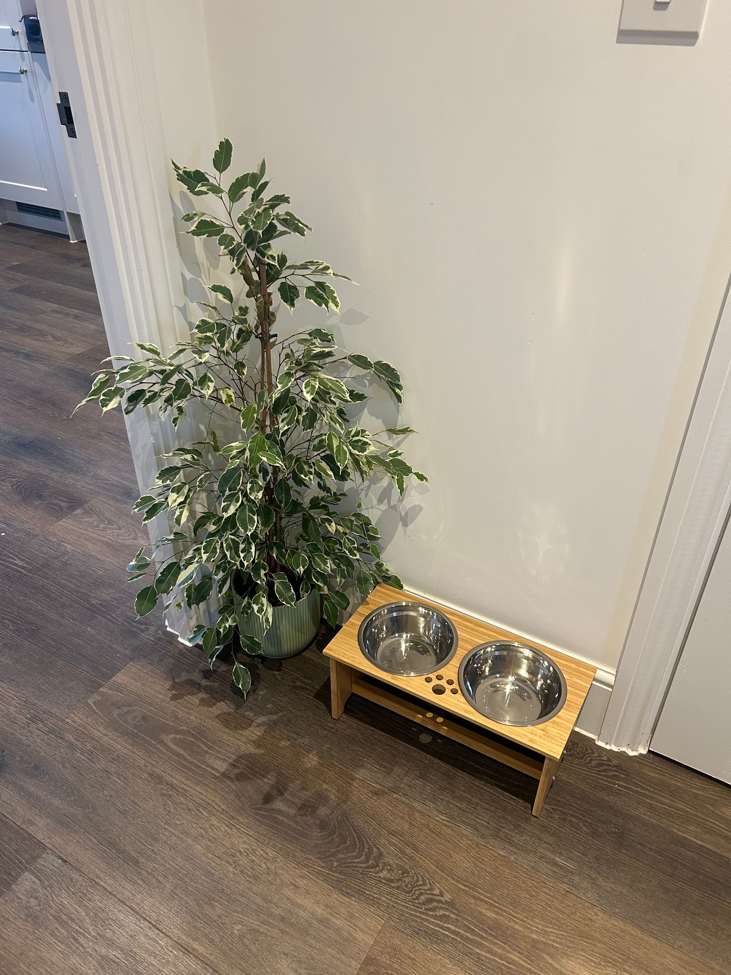 image-17
