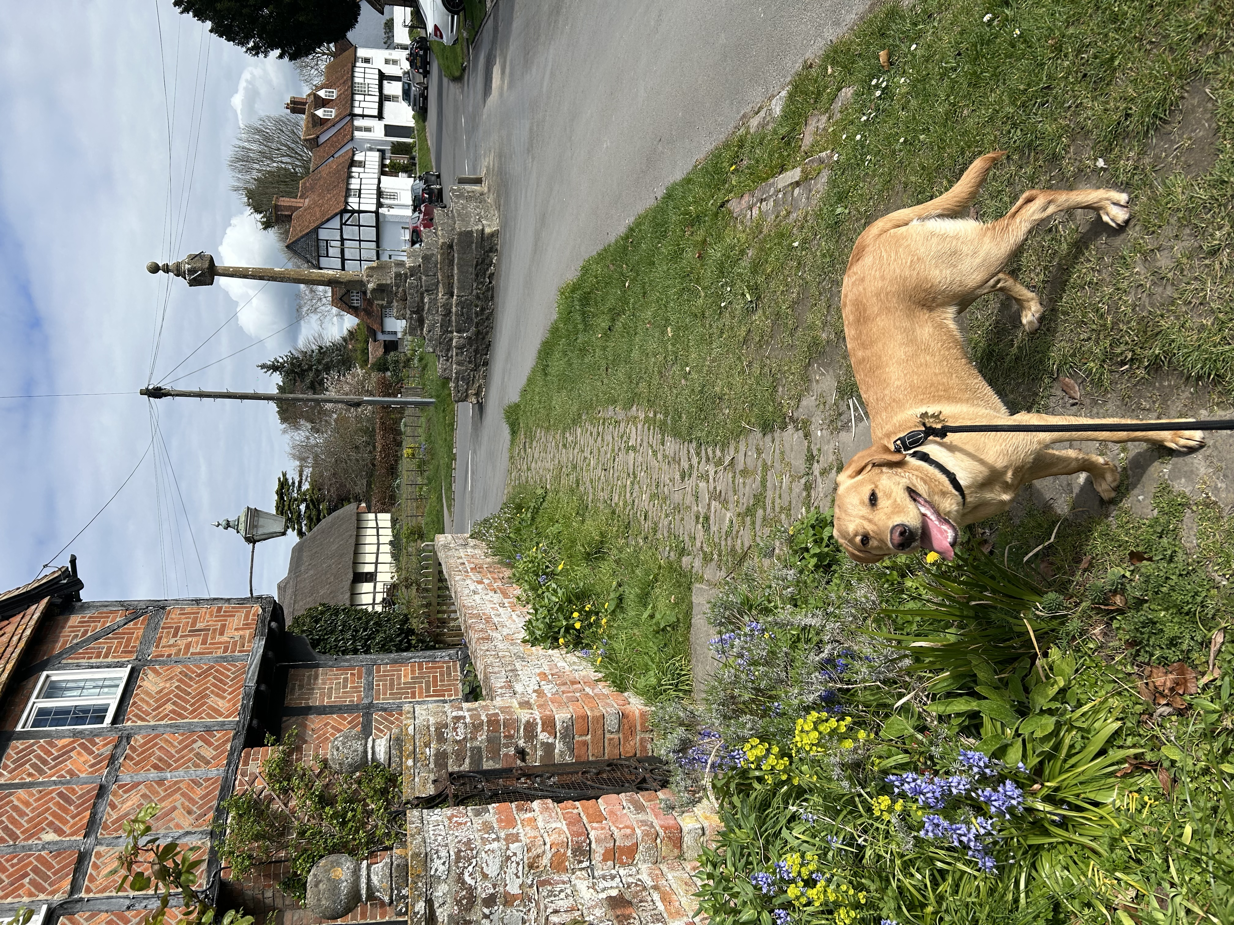 image-25
