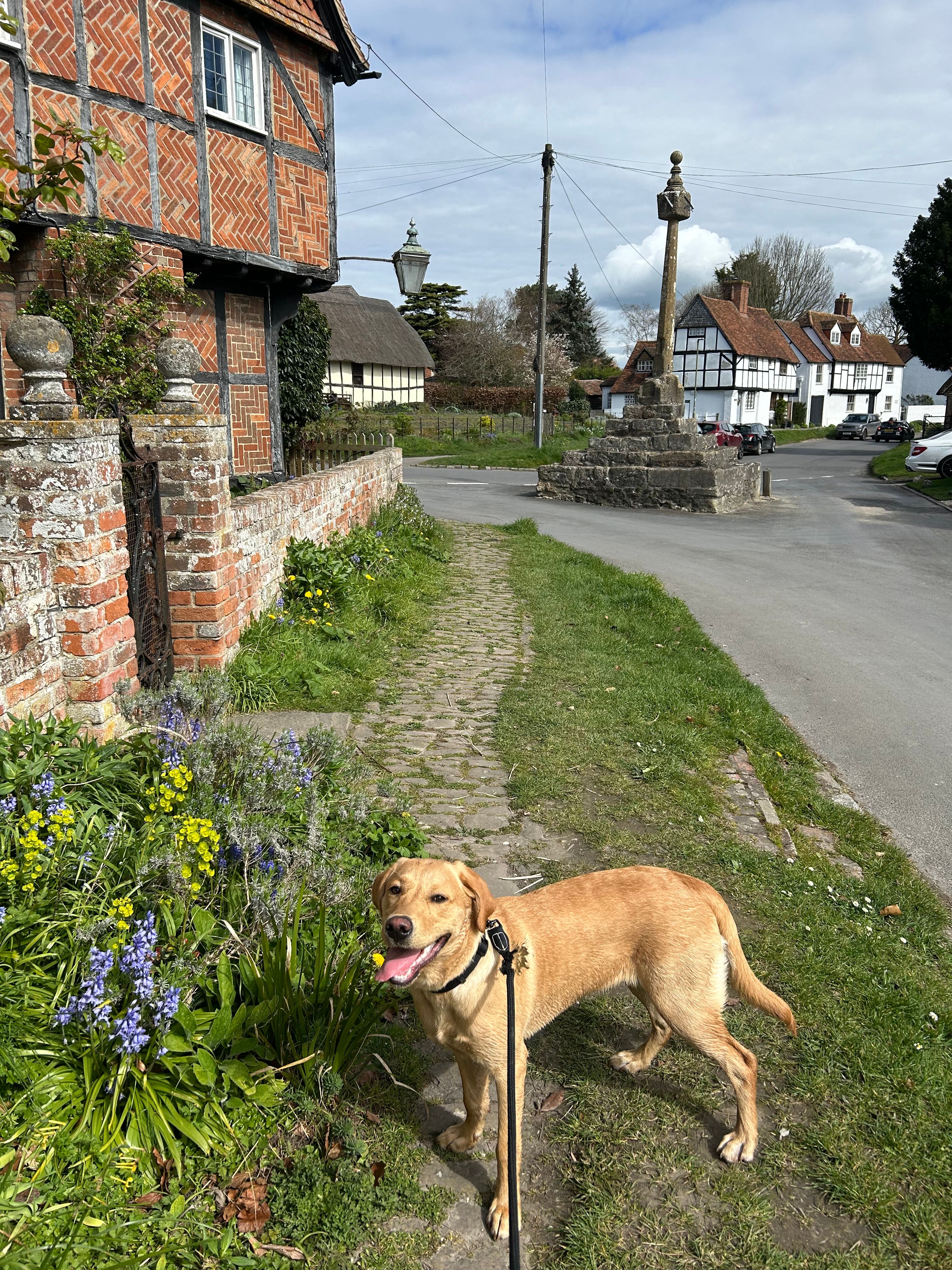 image-25