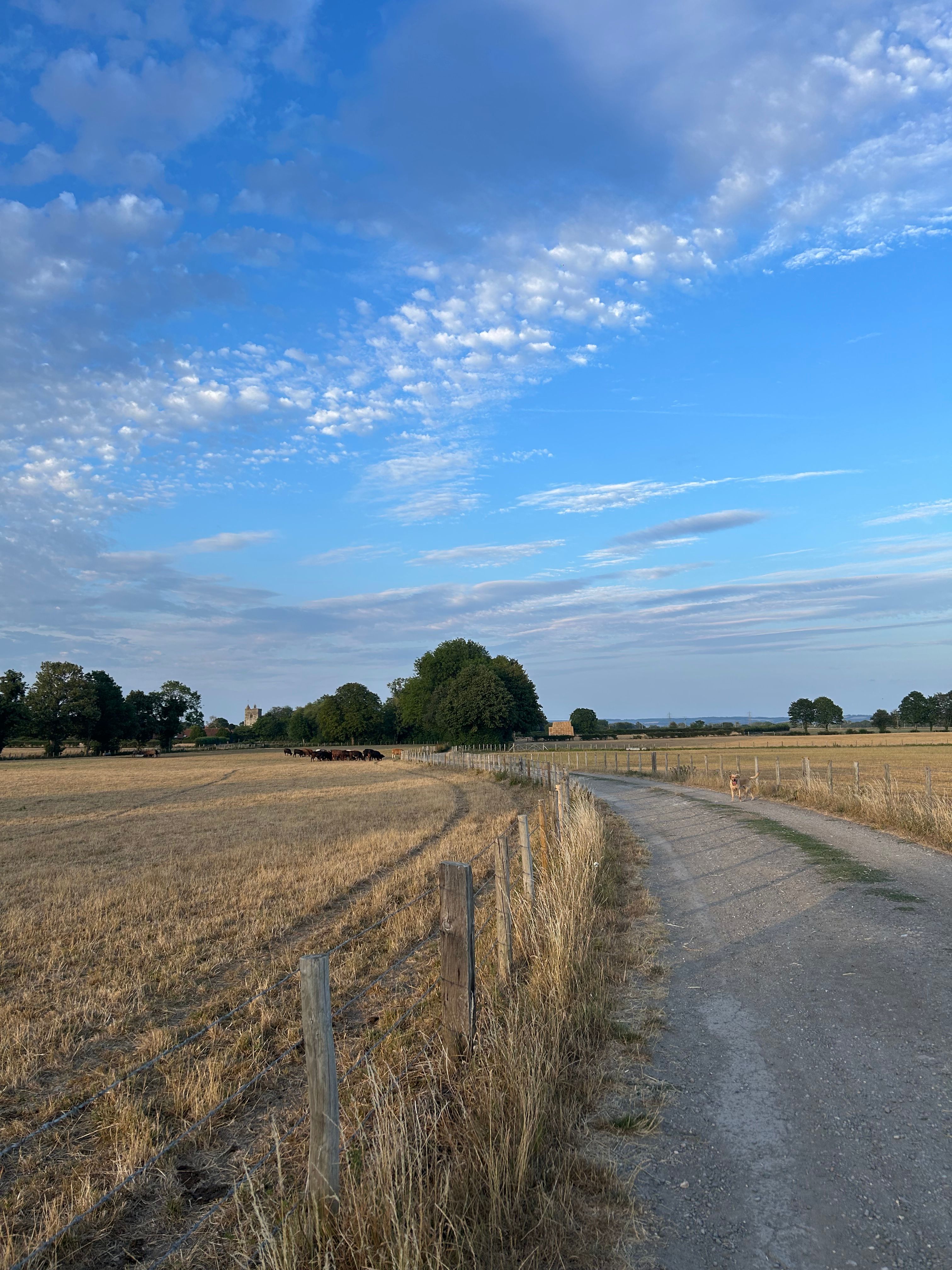 image-22