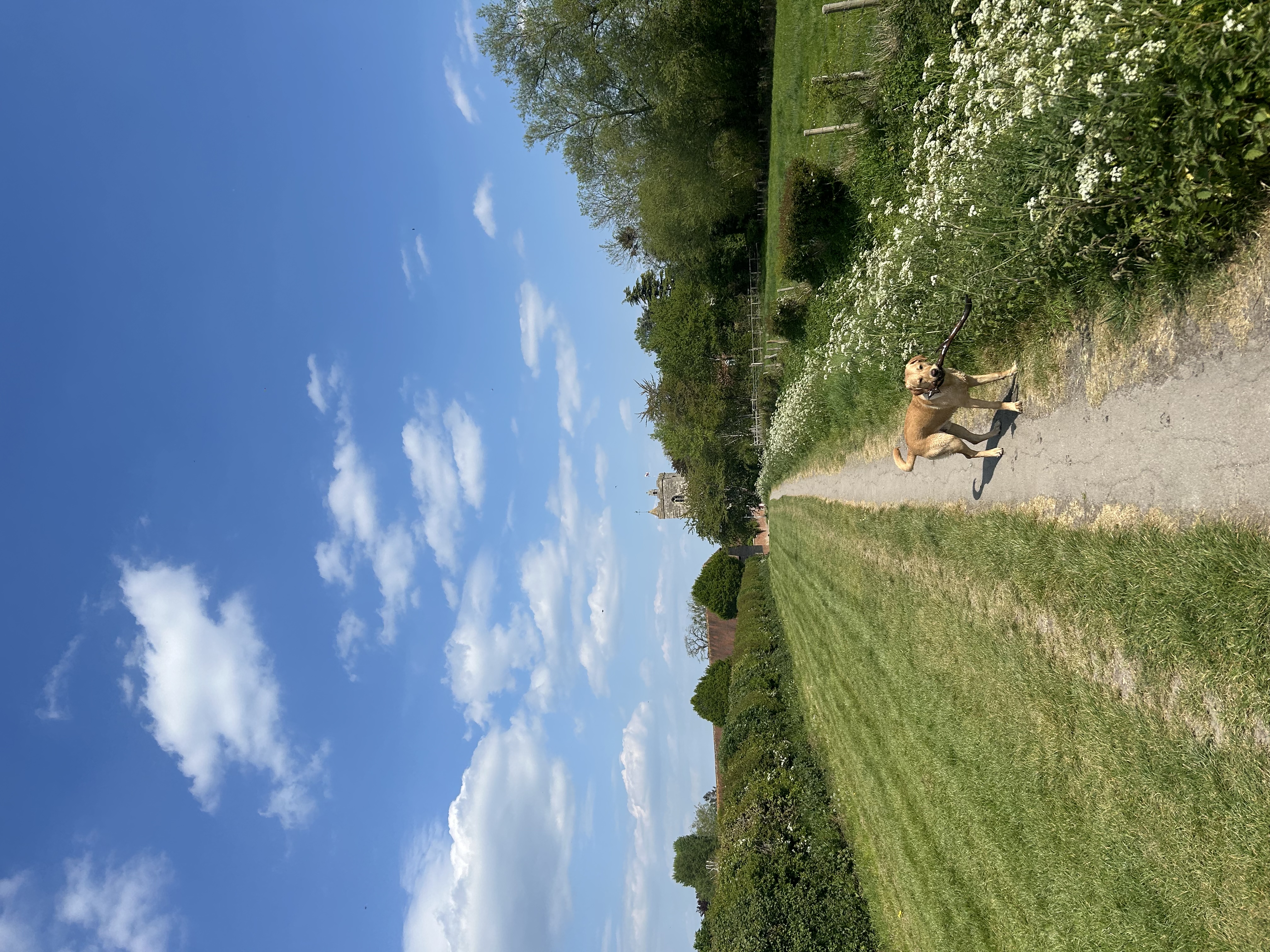 image-24