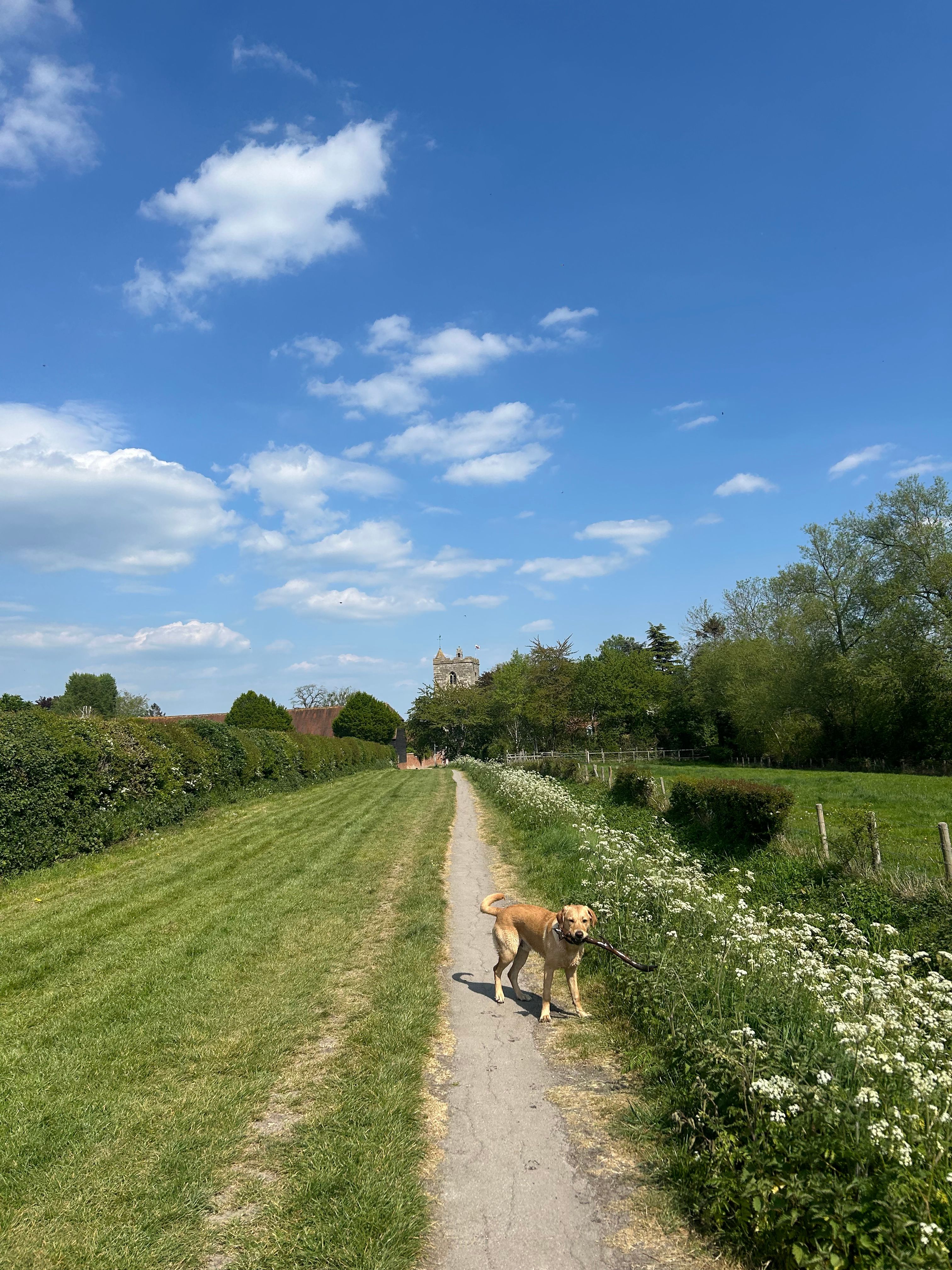 image-24