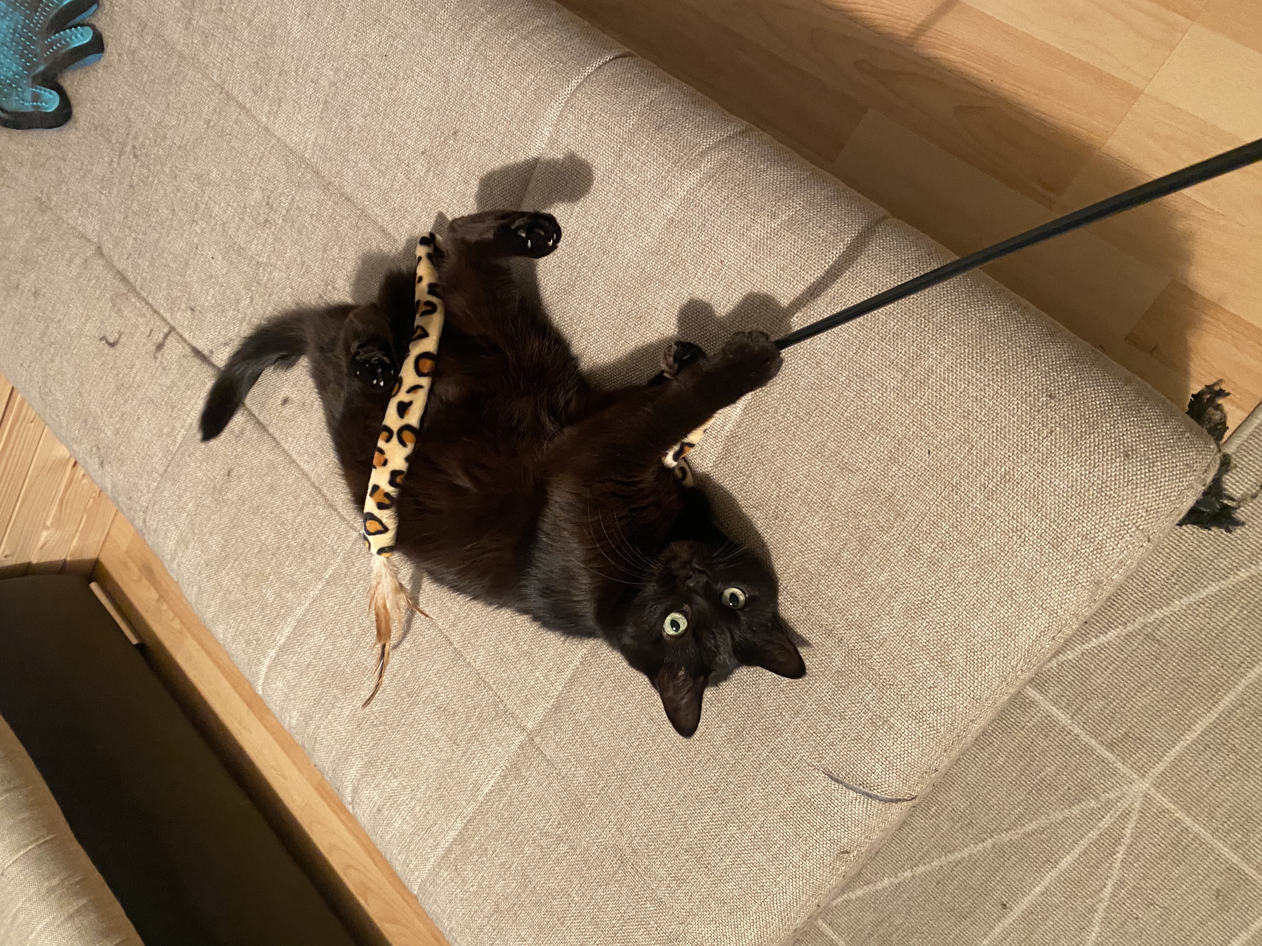 image-7