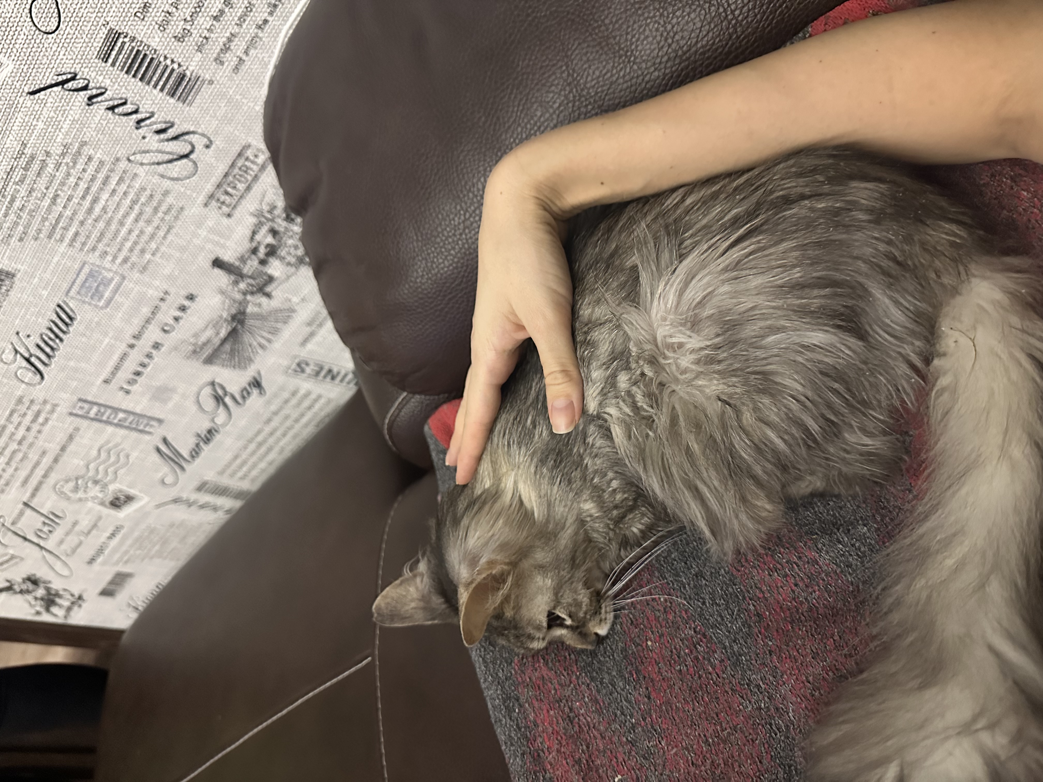 image-7
