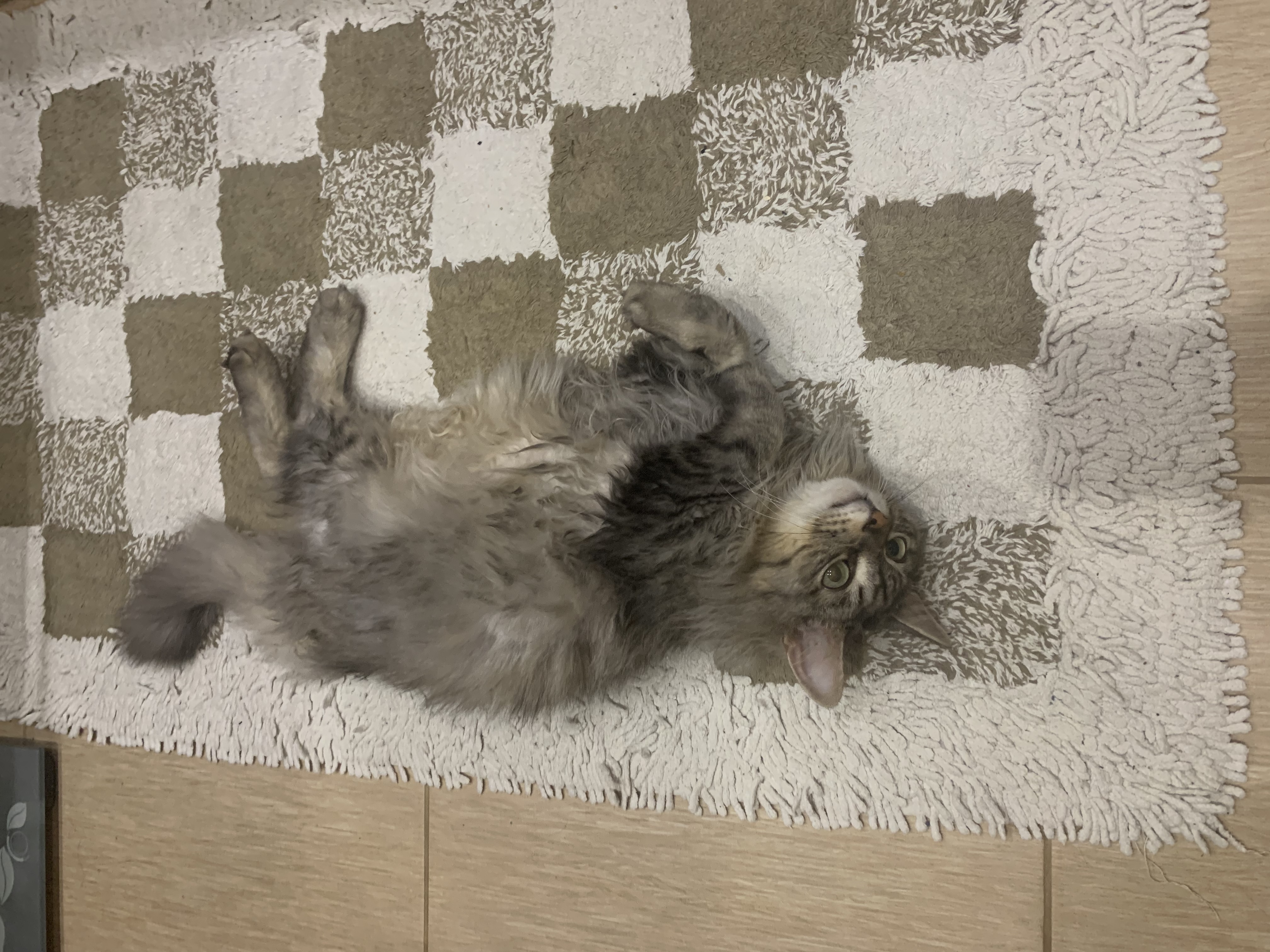 image-8