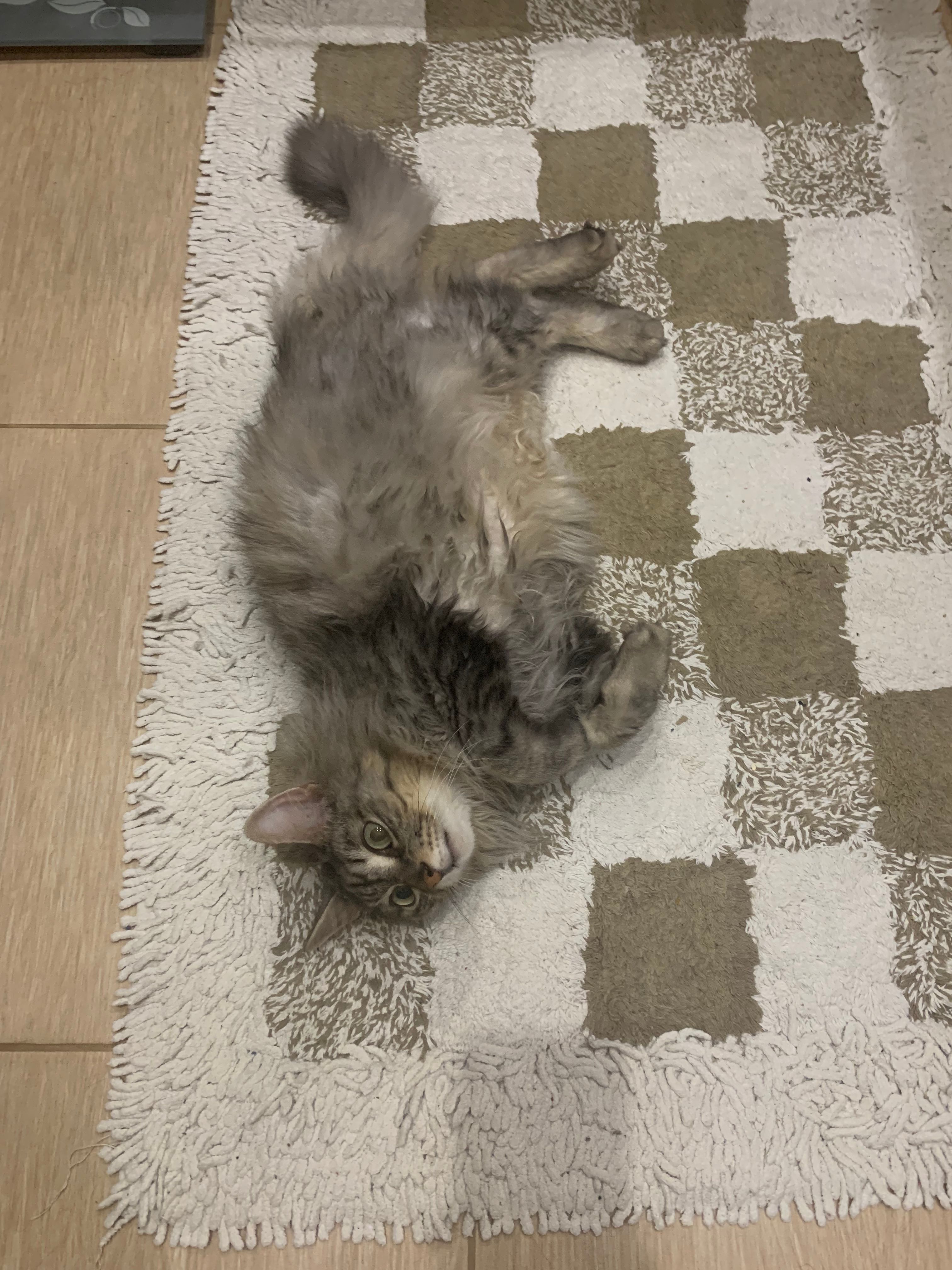image-8