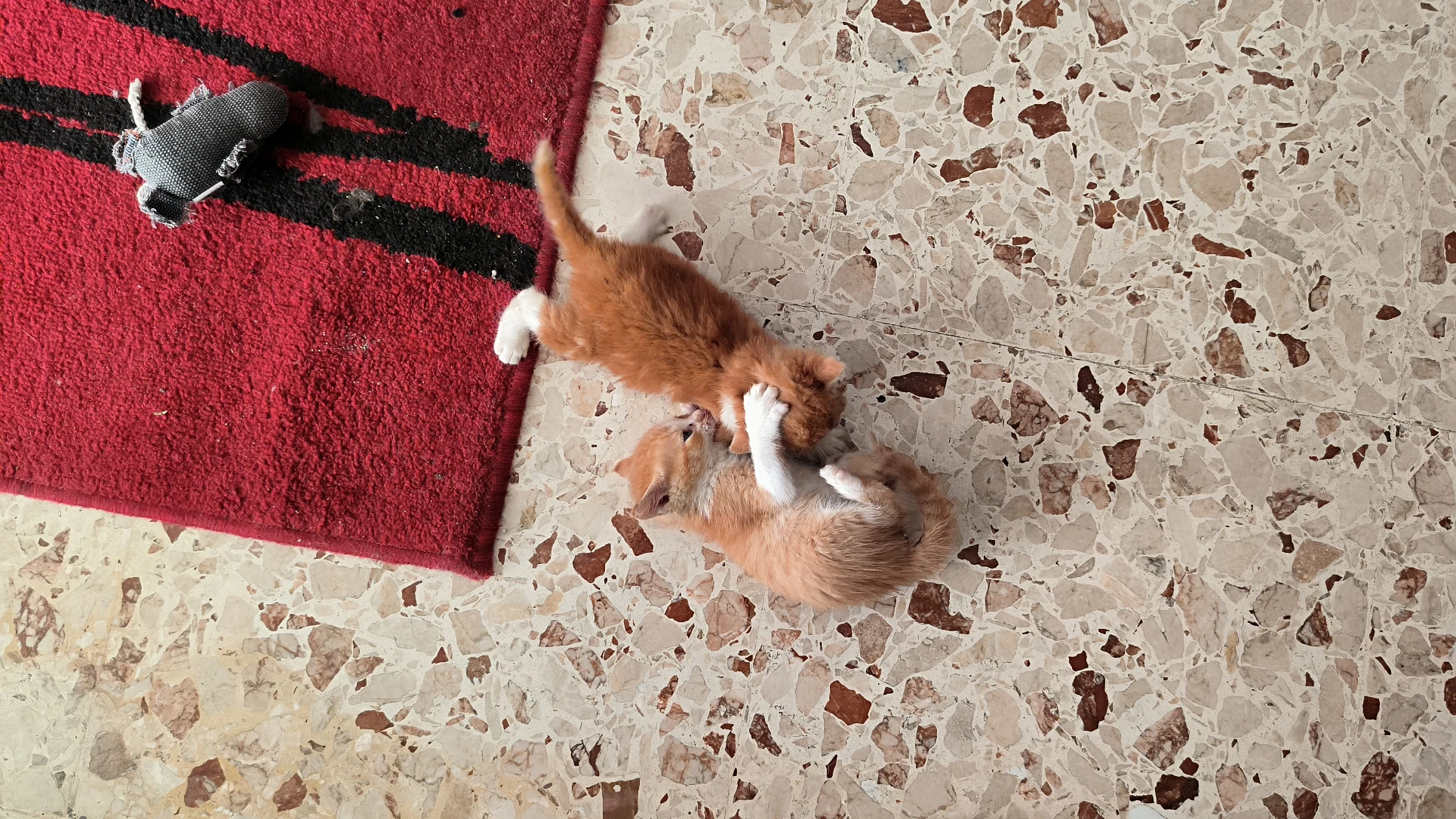 image-13