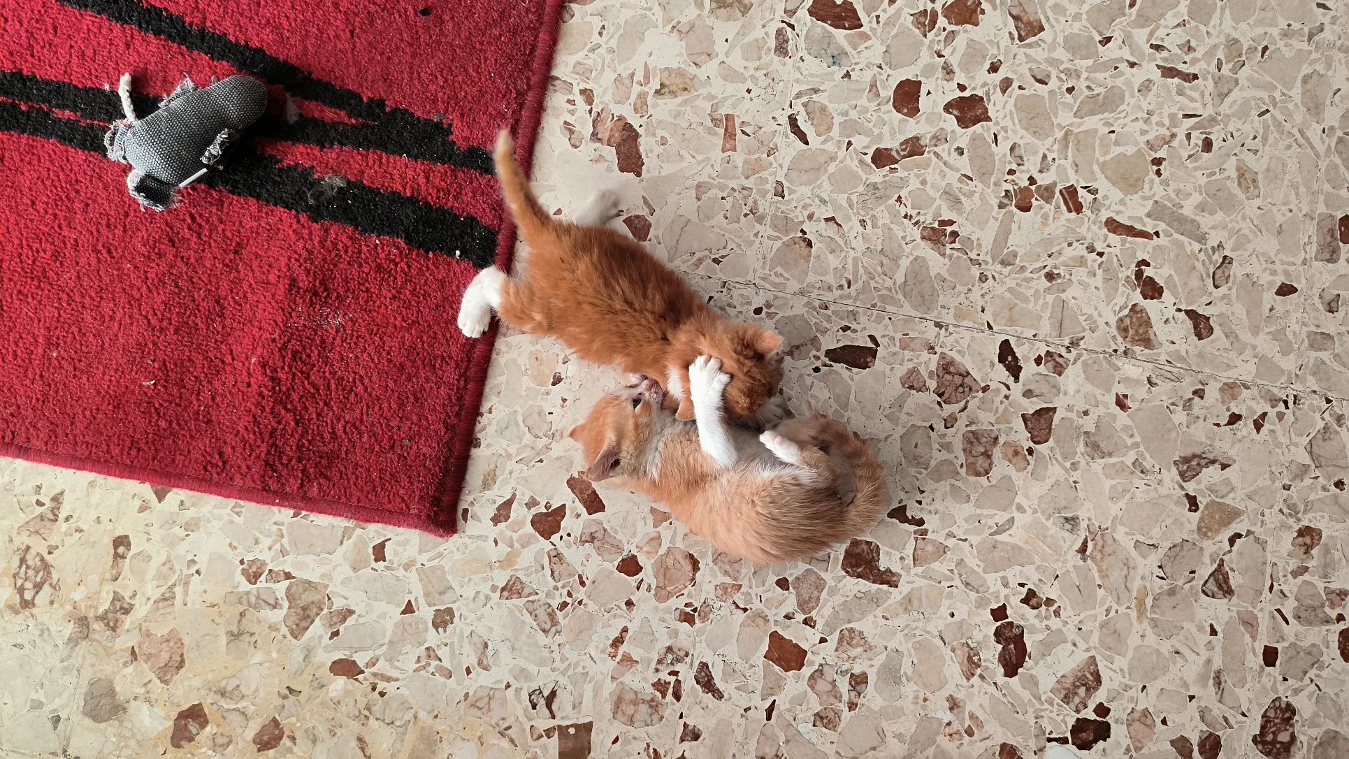 image-13