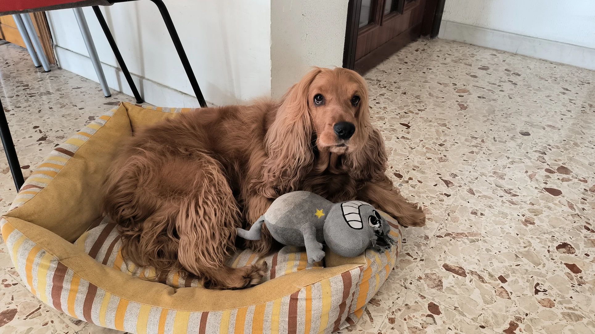 image-12
