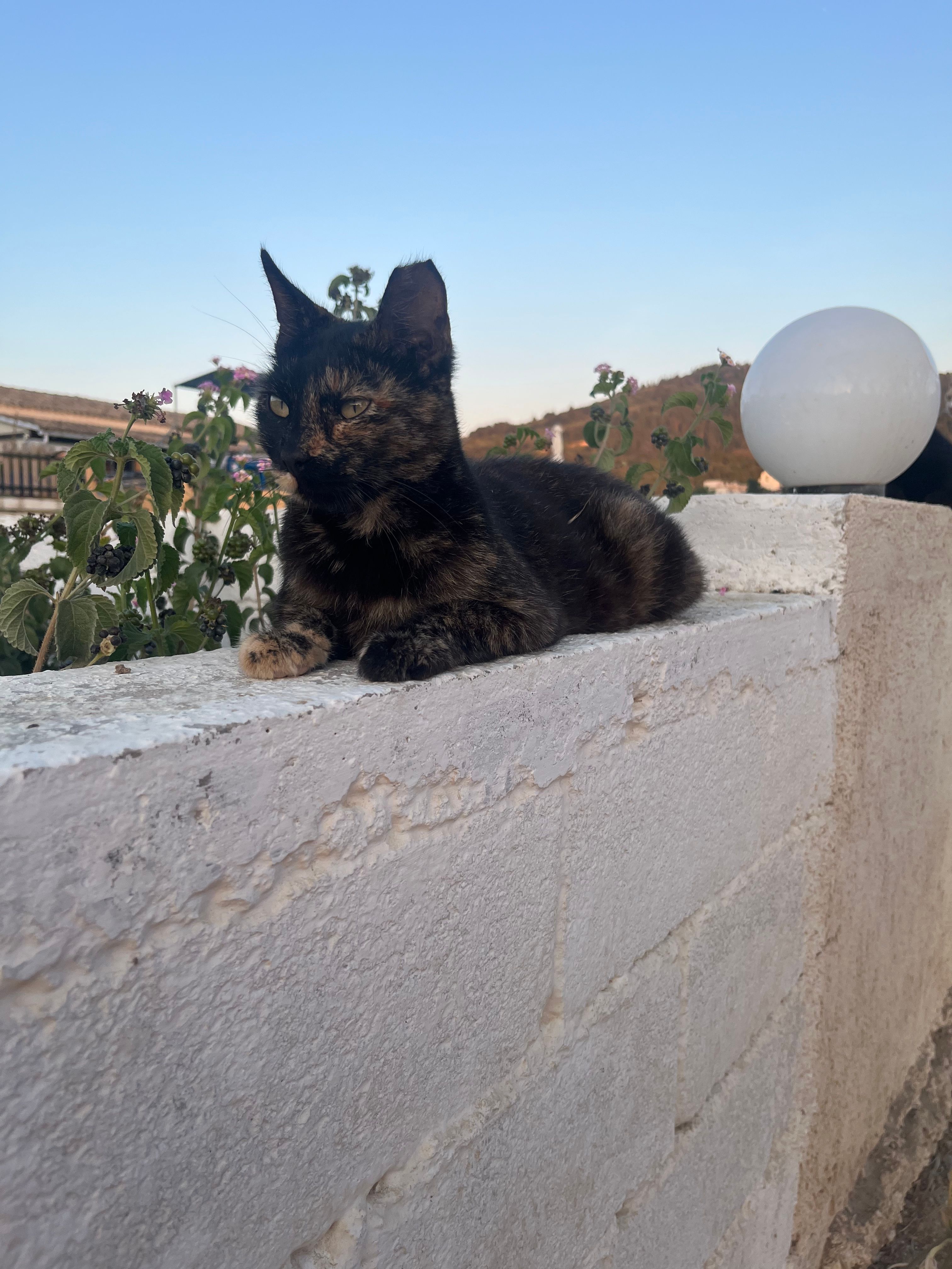 image-13