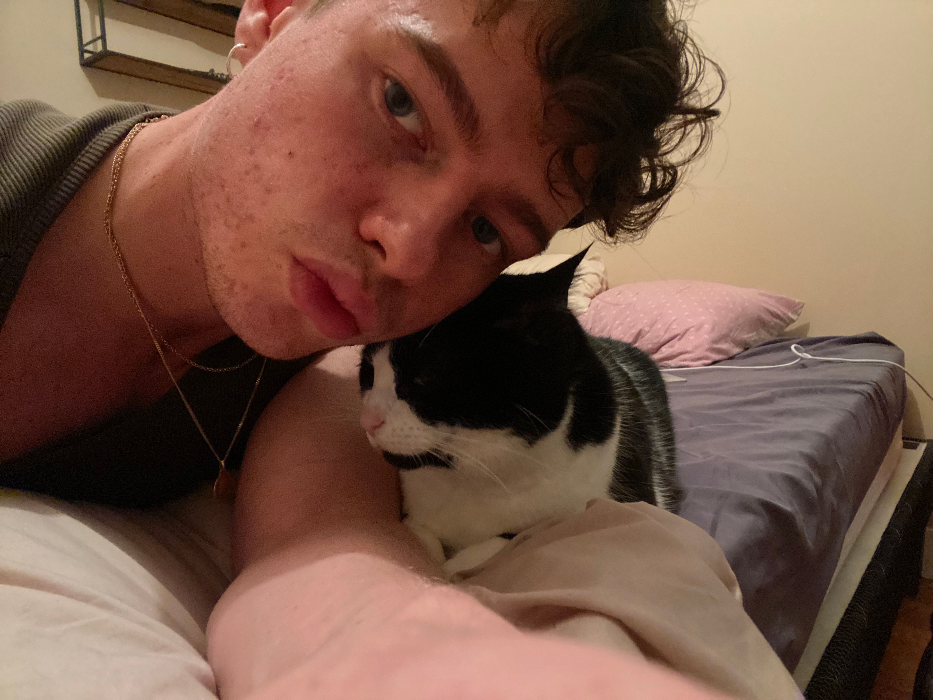 image-17