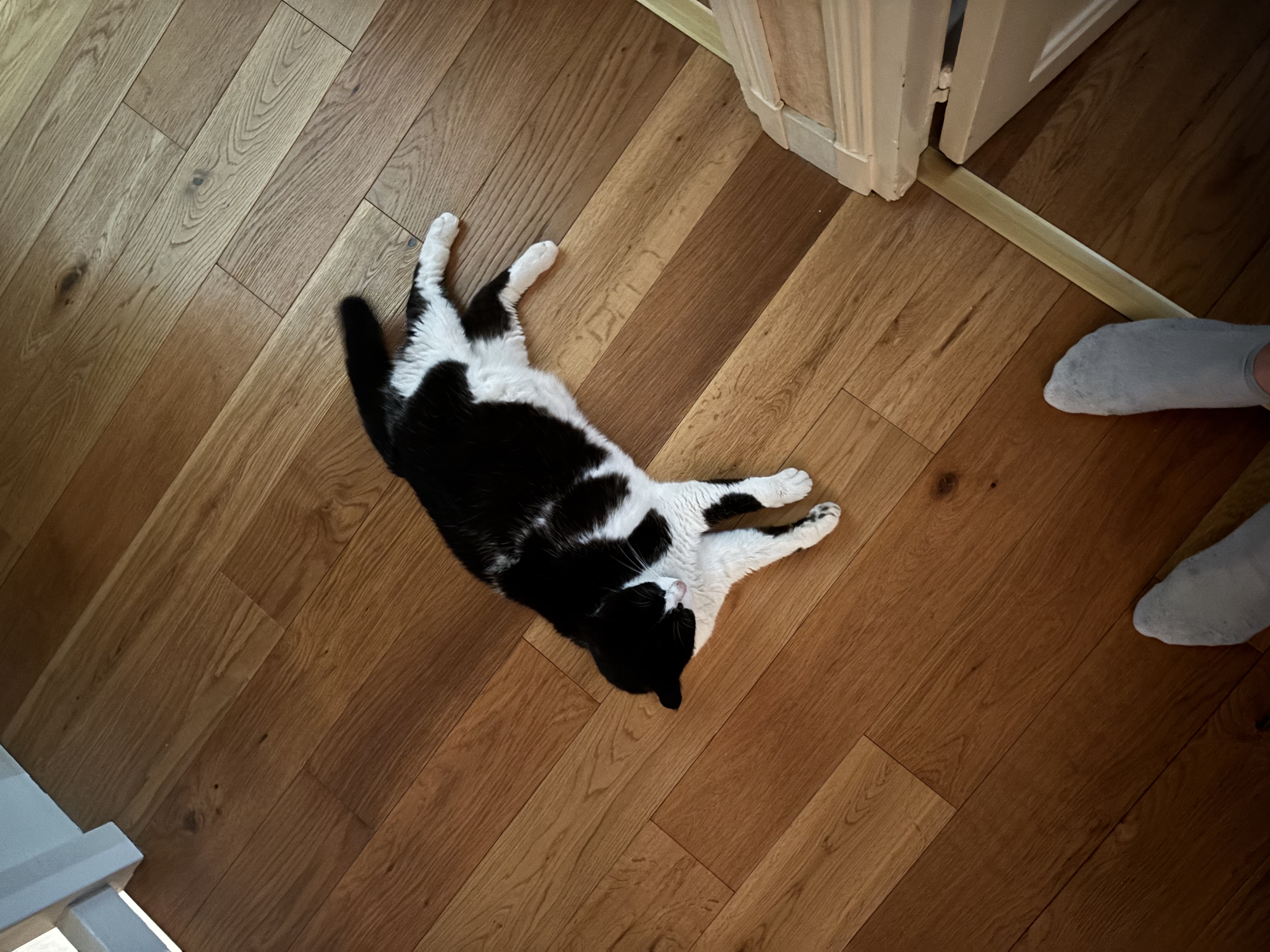 image-11