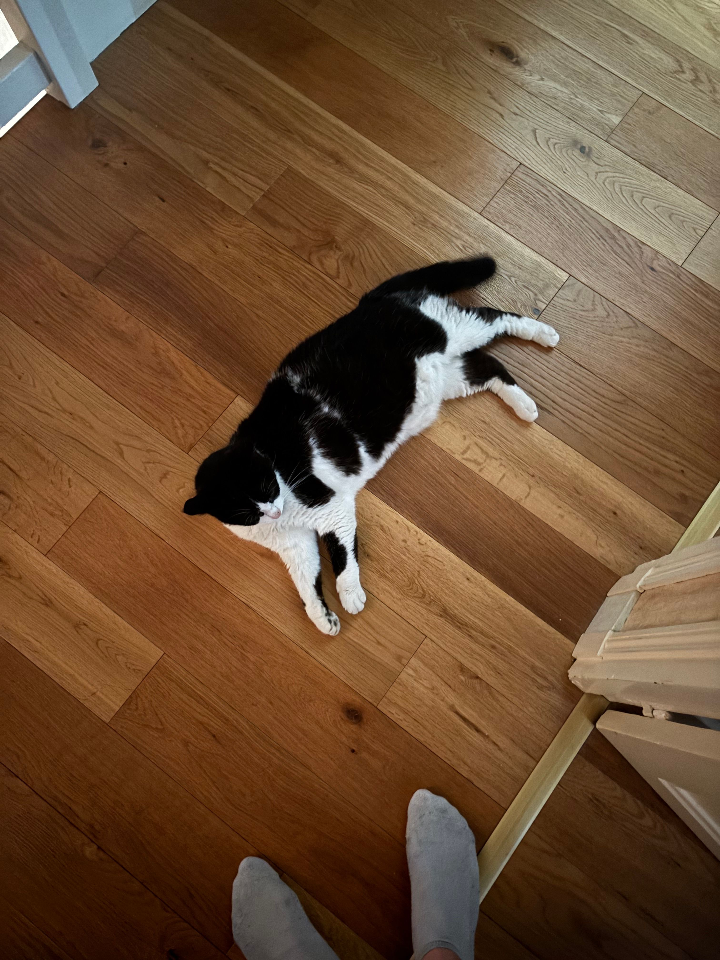image-11
