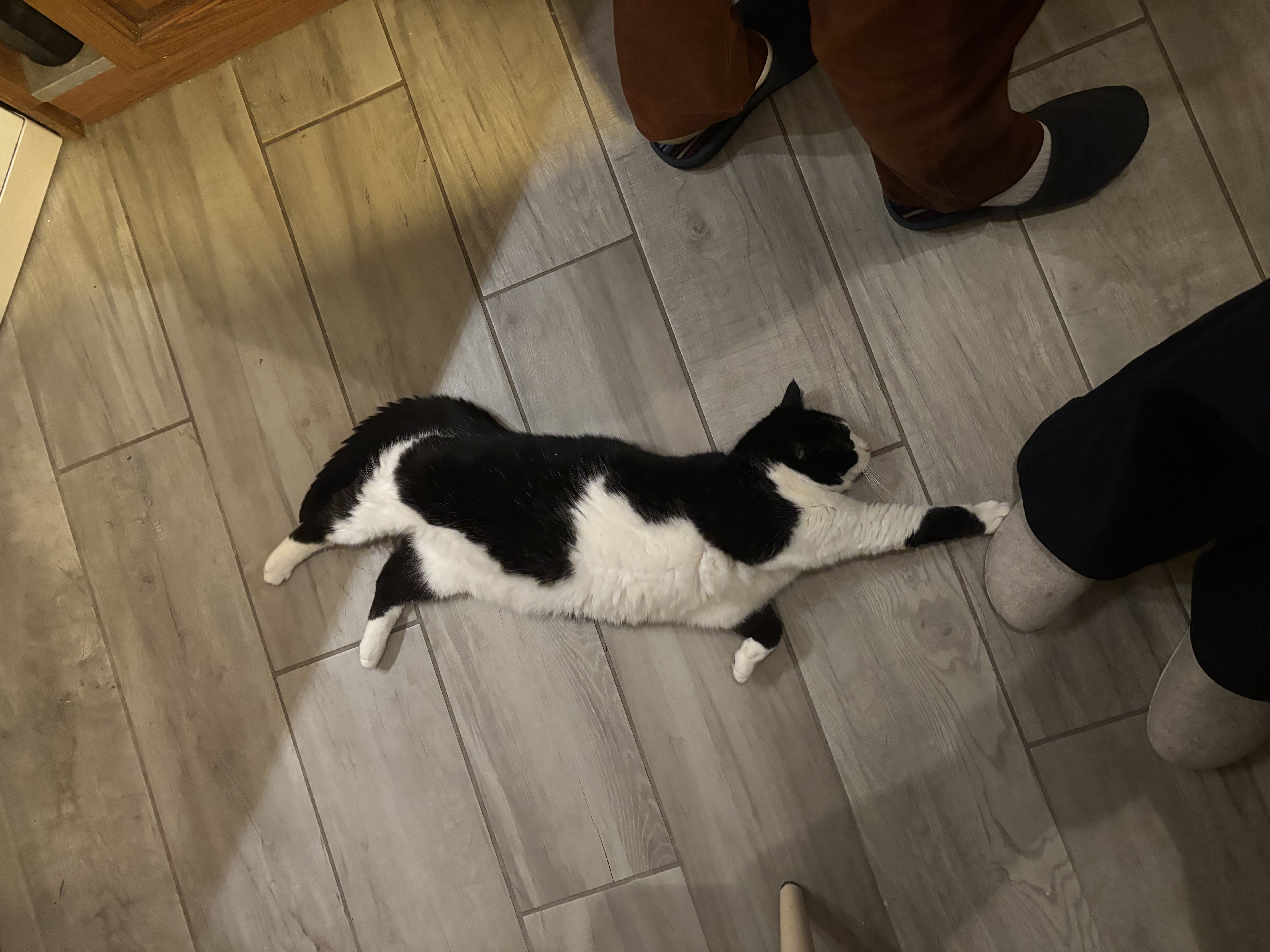 image-6