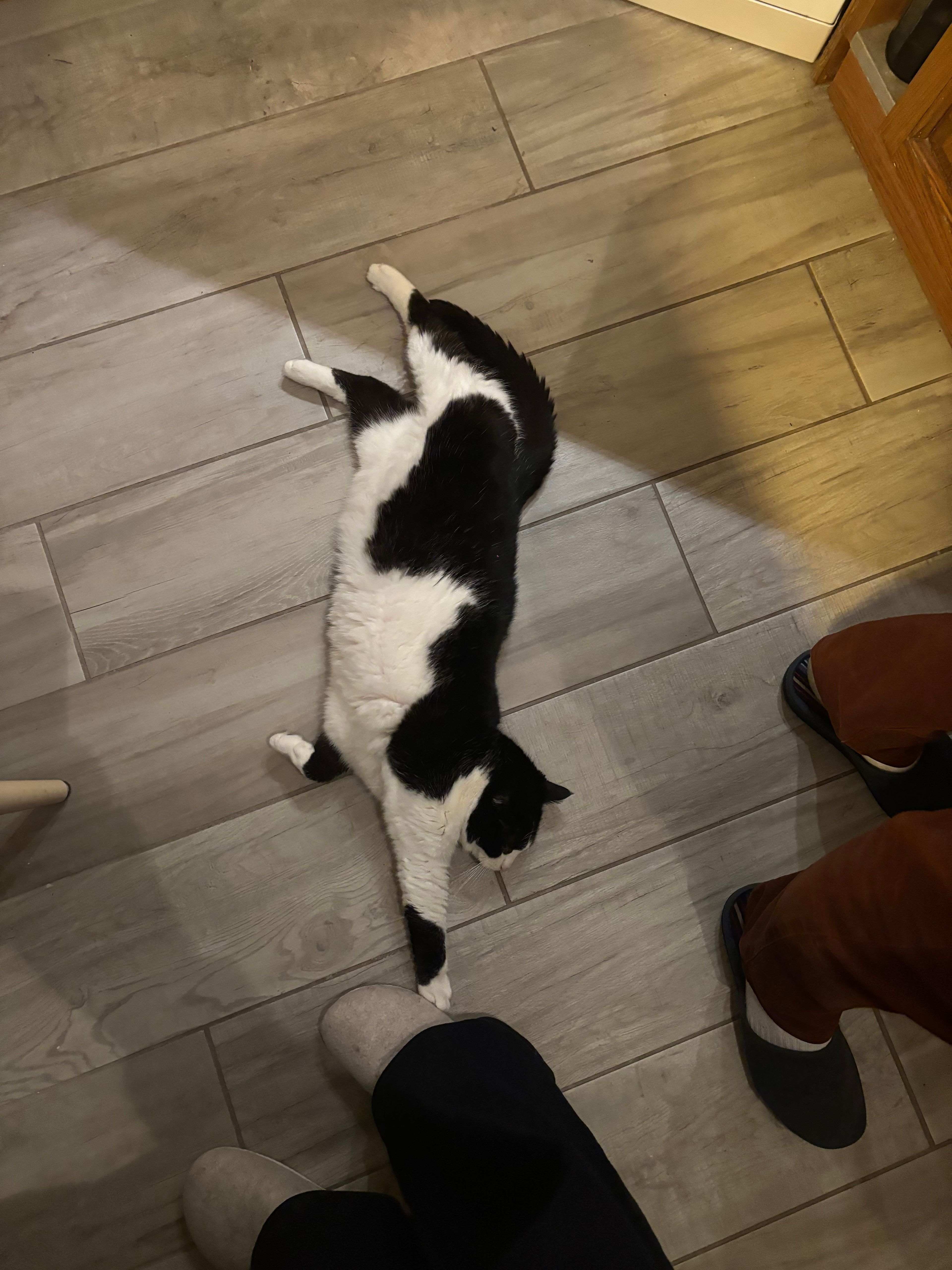 image-6