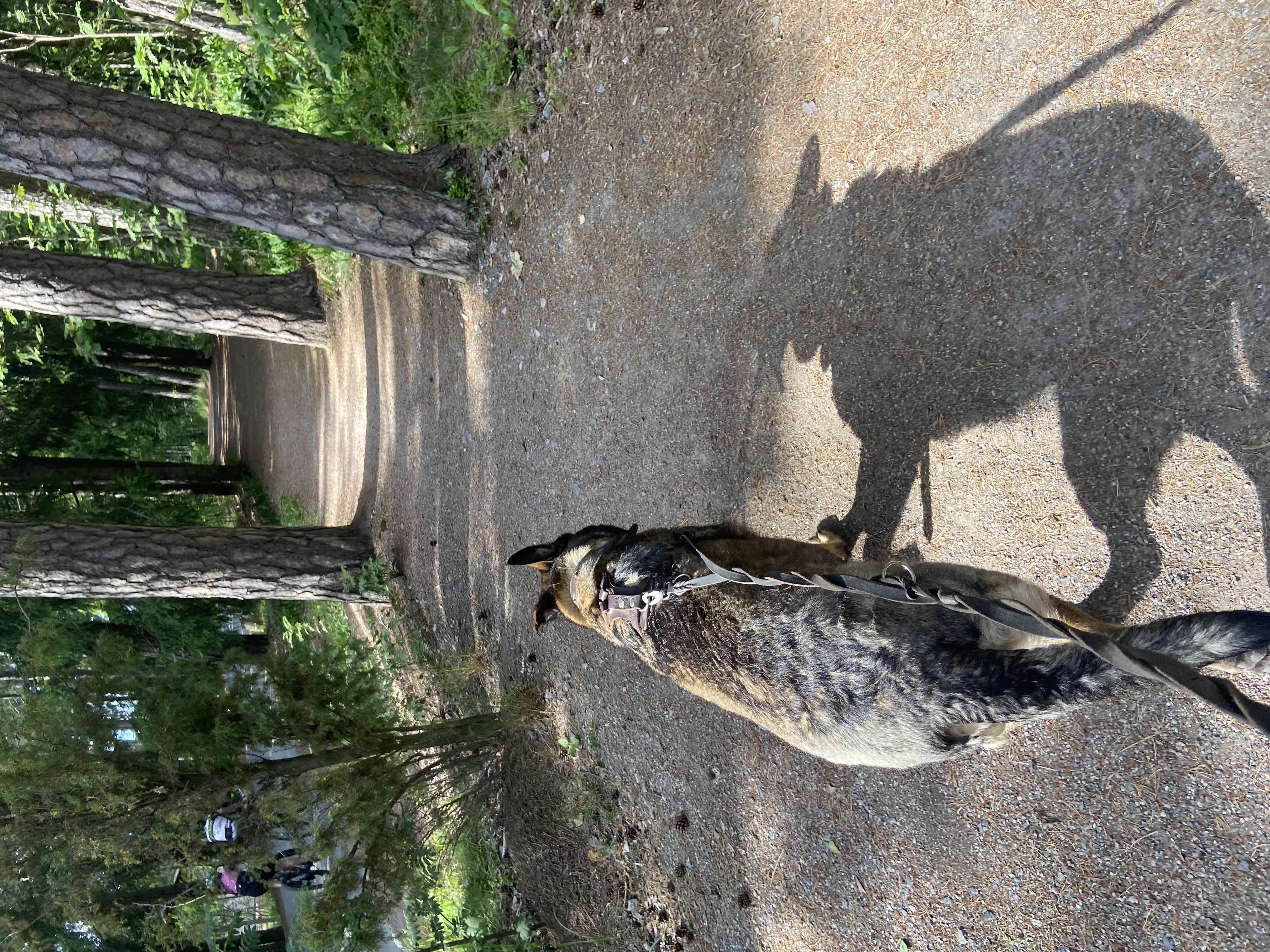 image-6