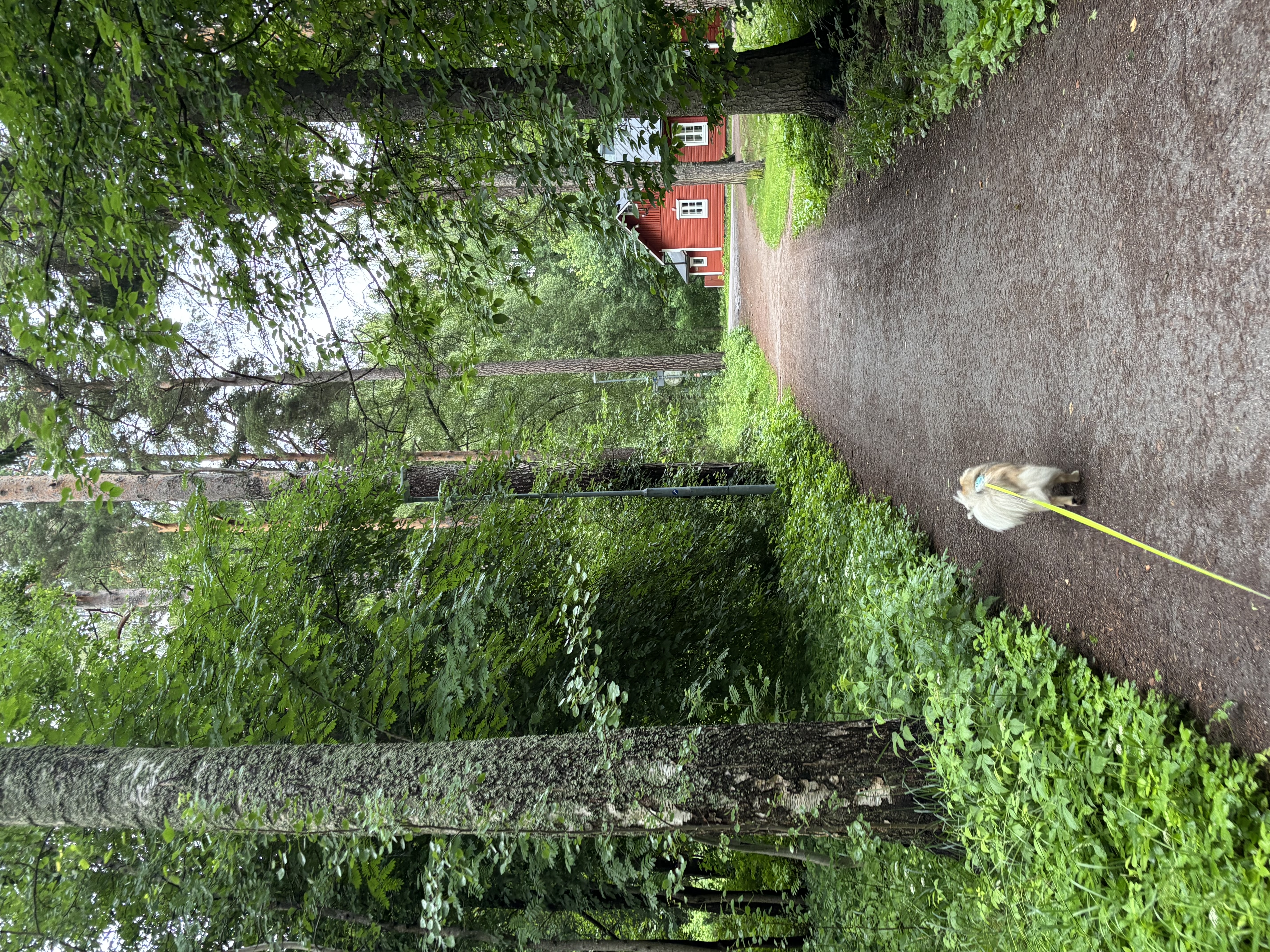 image-7