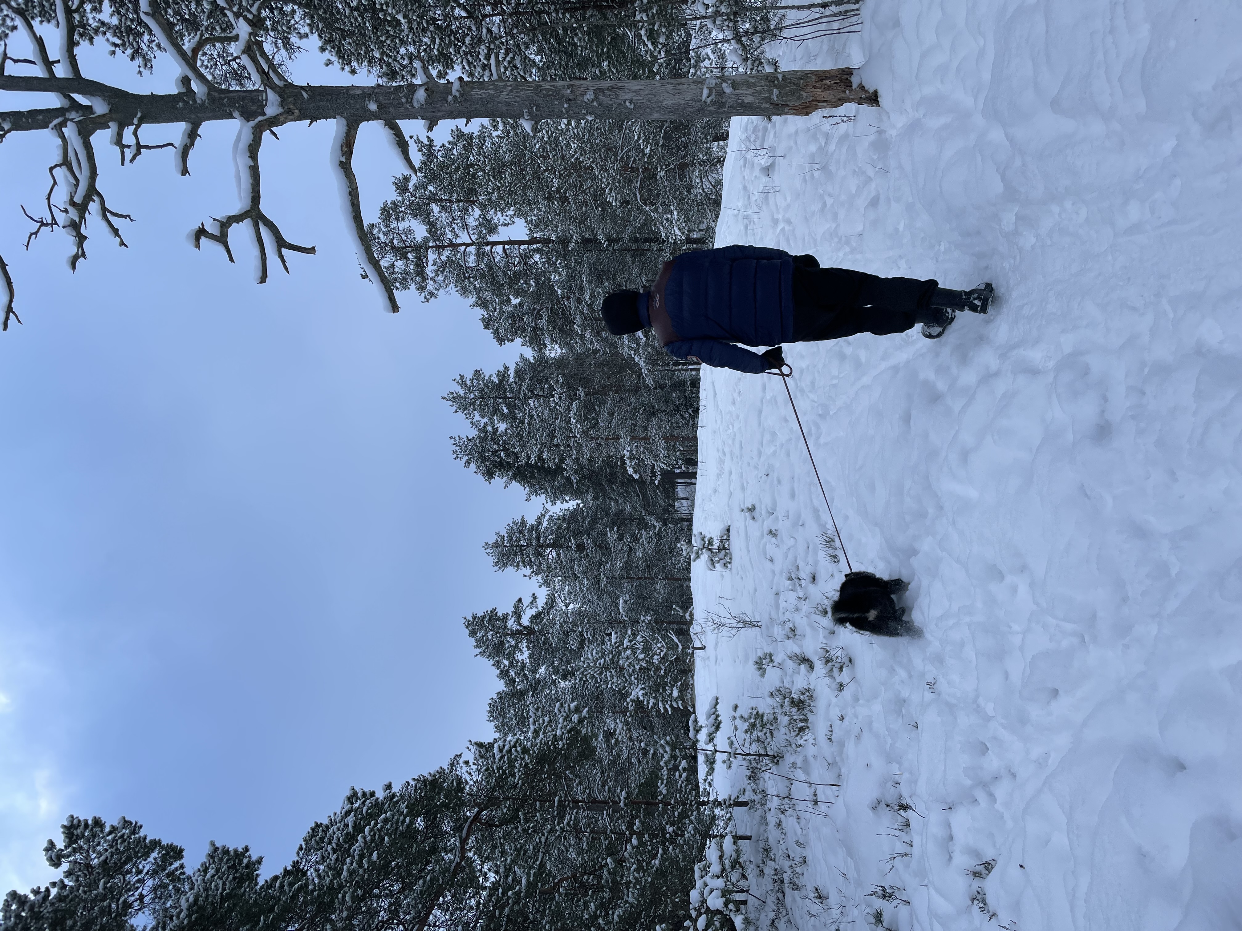 image-16