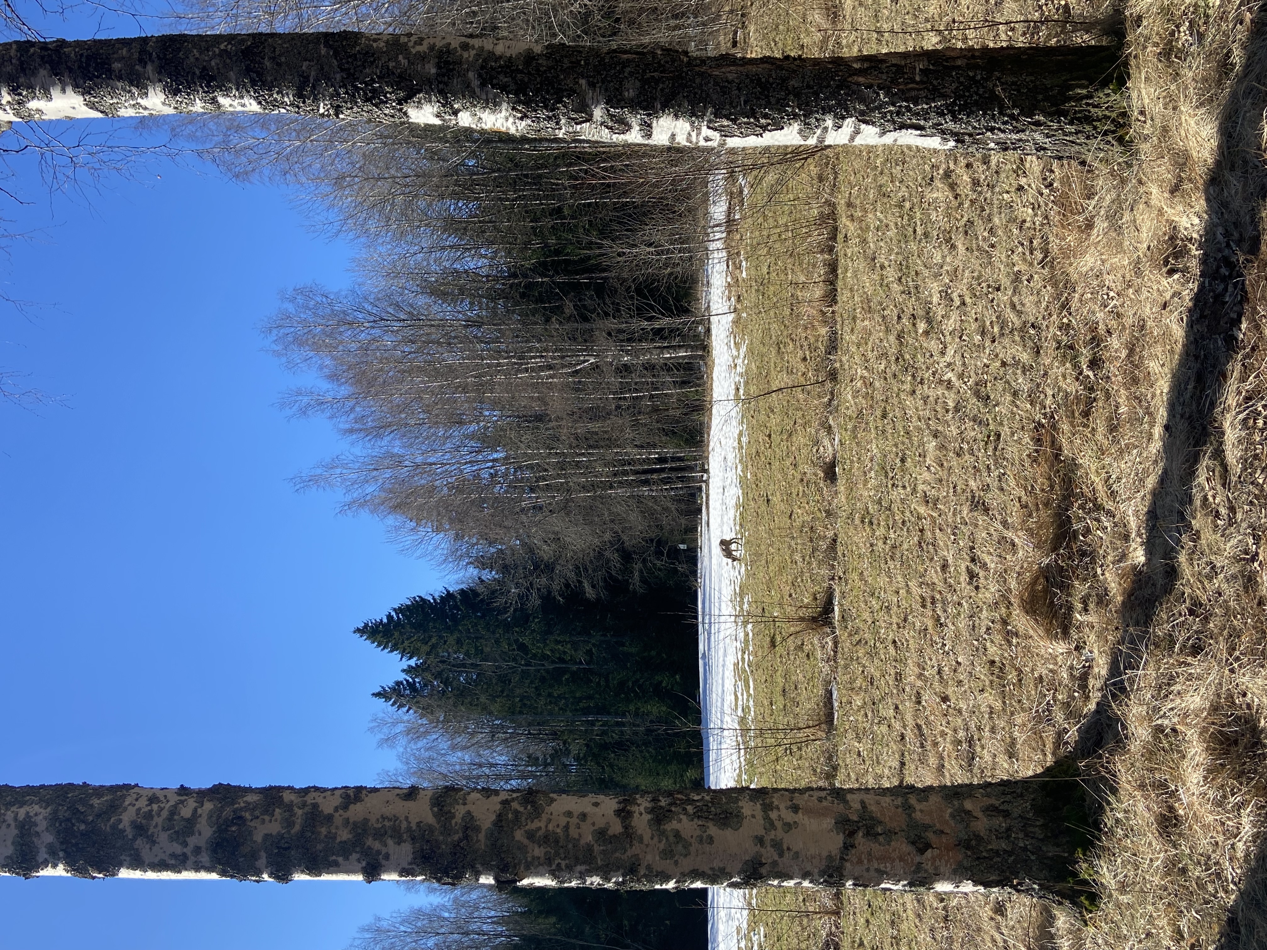 image-17
