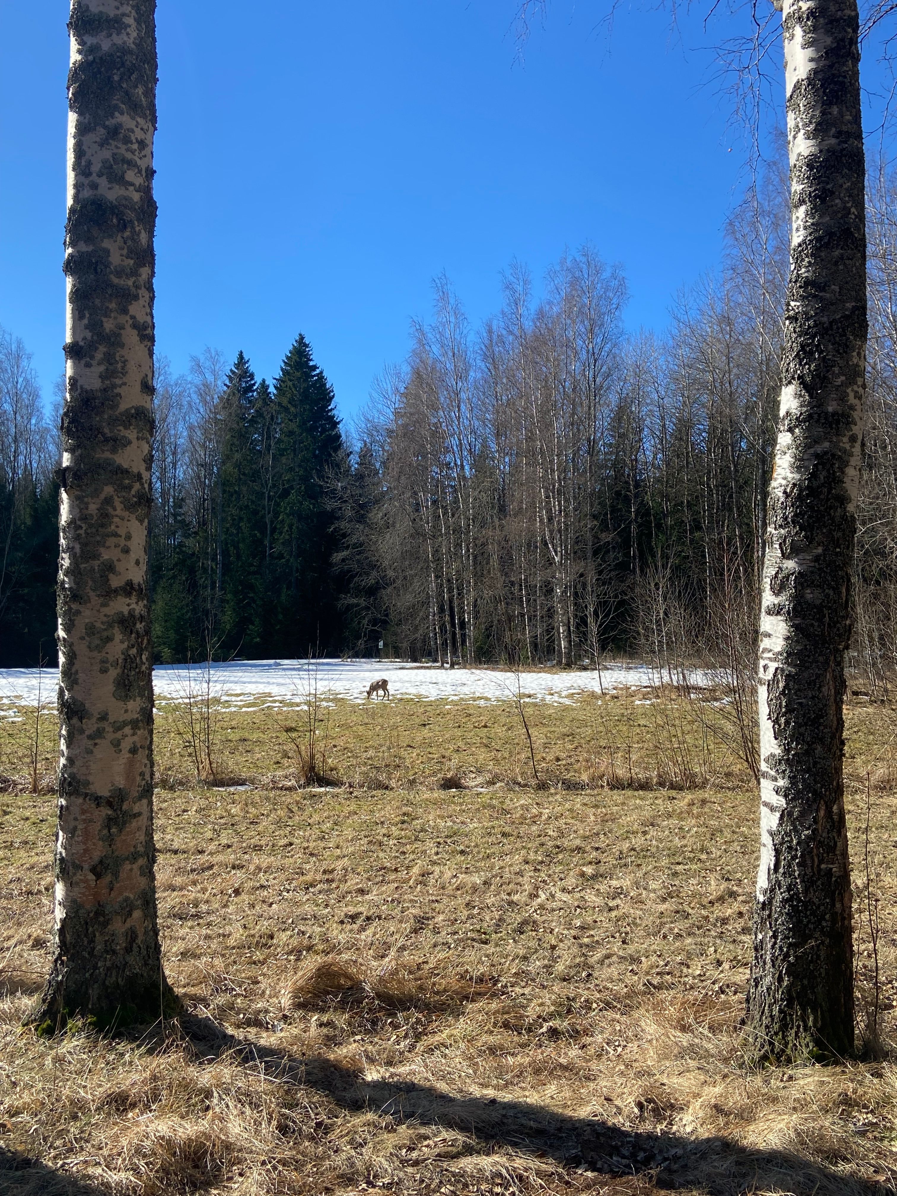 image-17