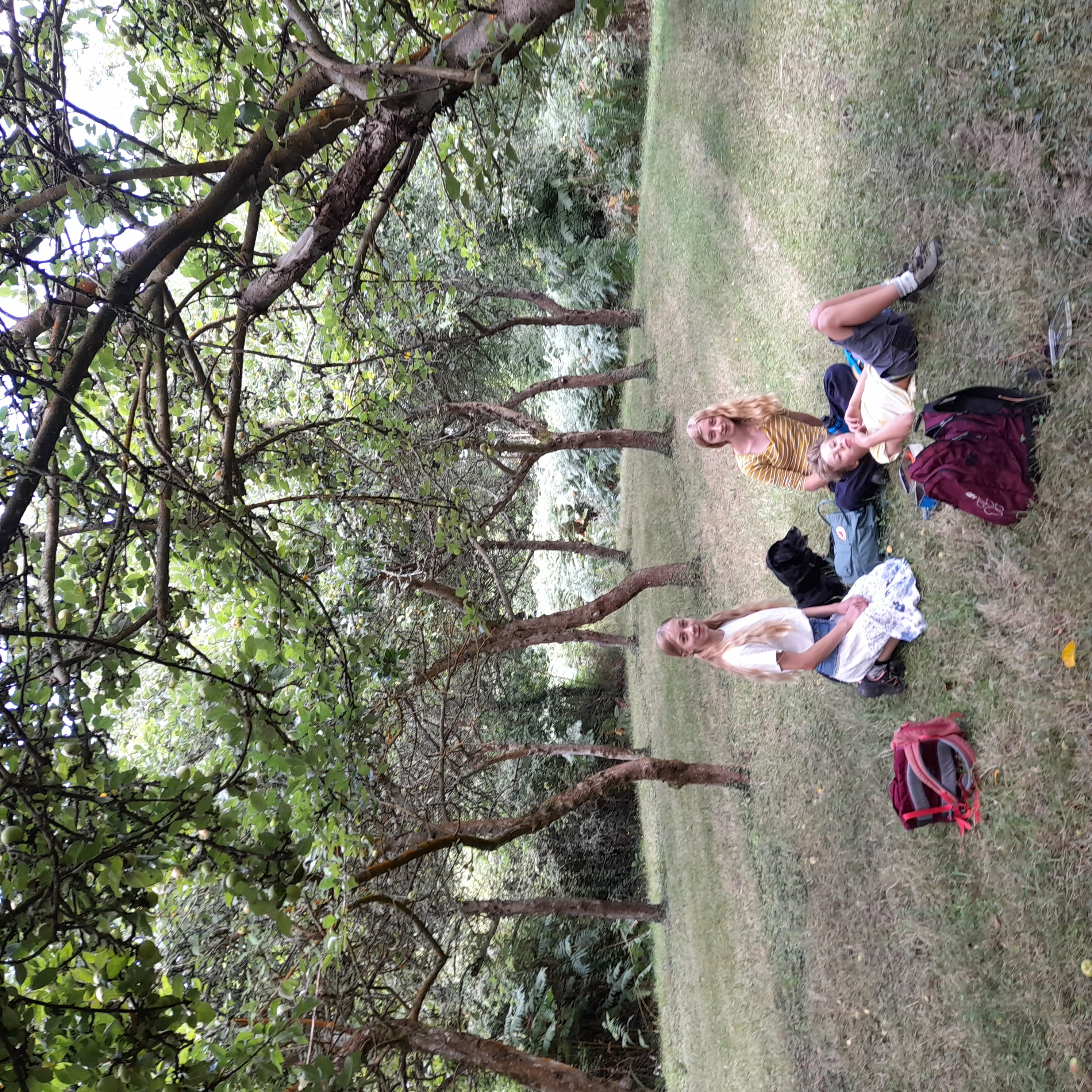image-3