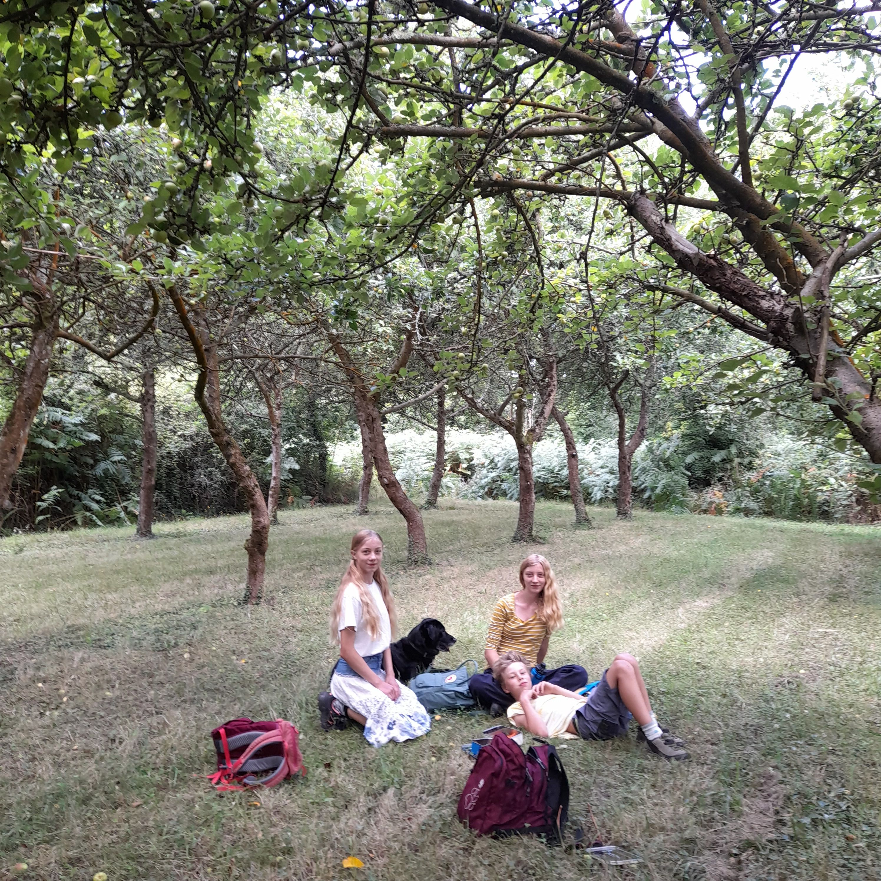 image-3