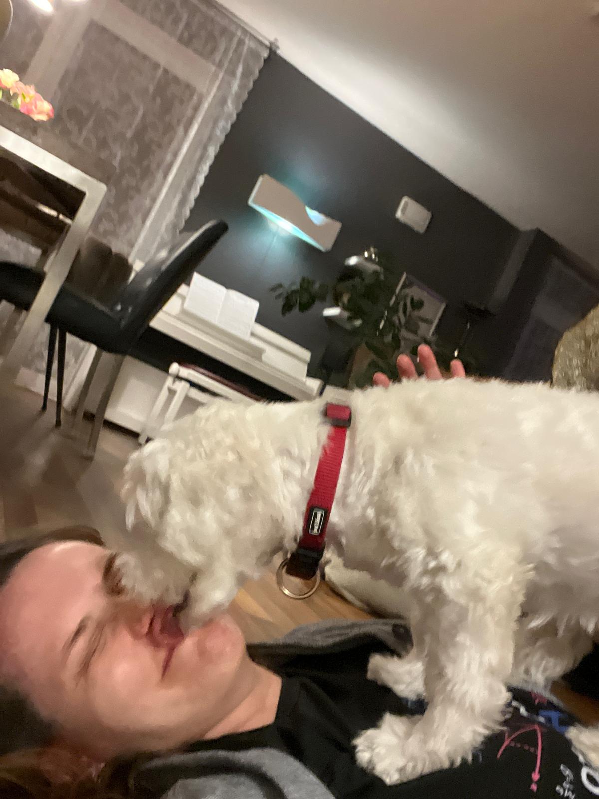 image-8