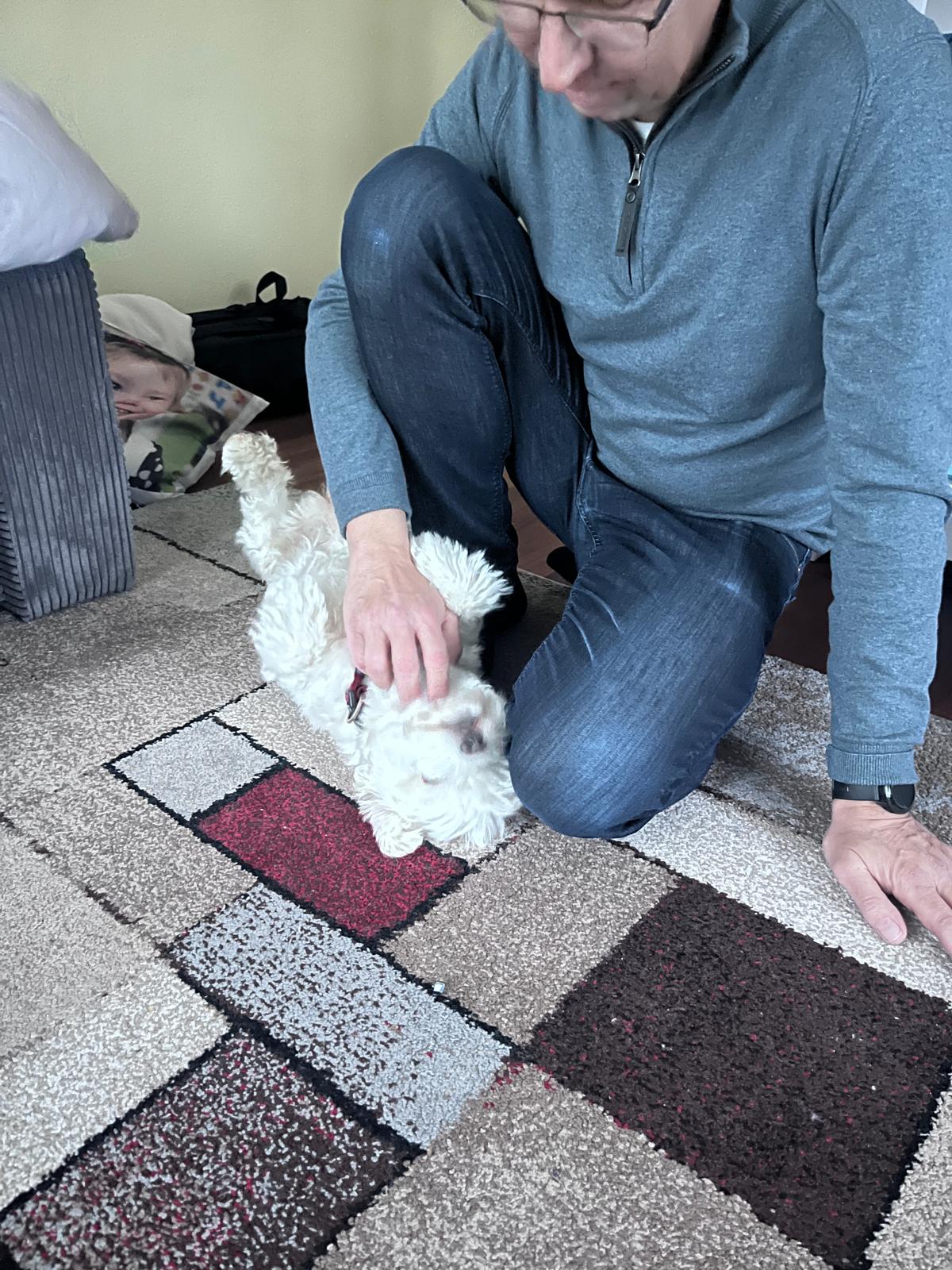 image-7