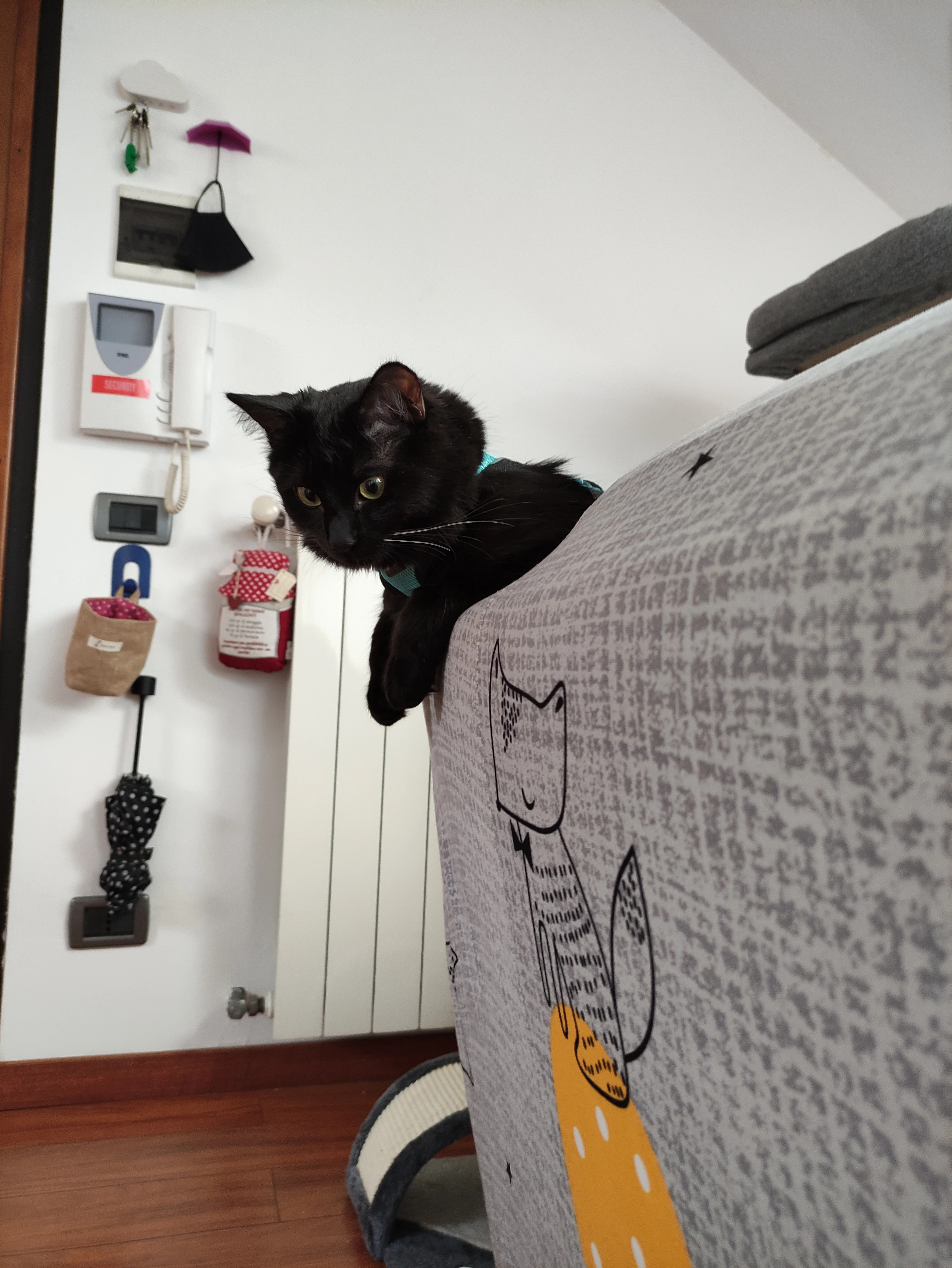 image-8