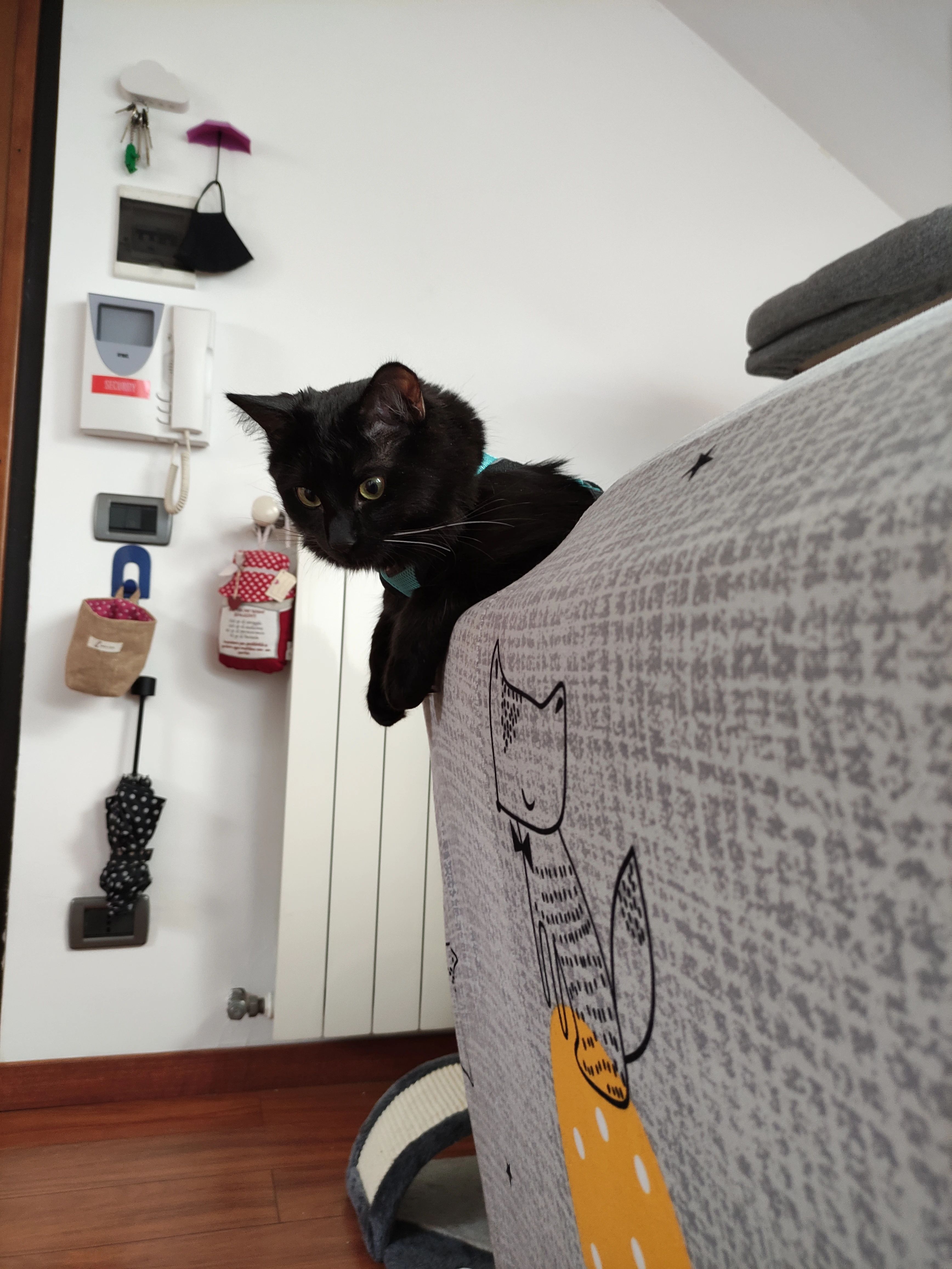 image-8