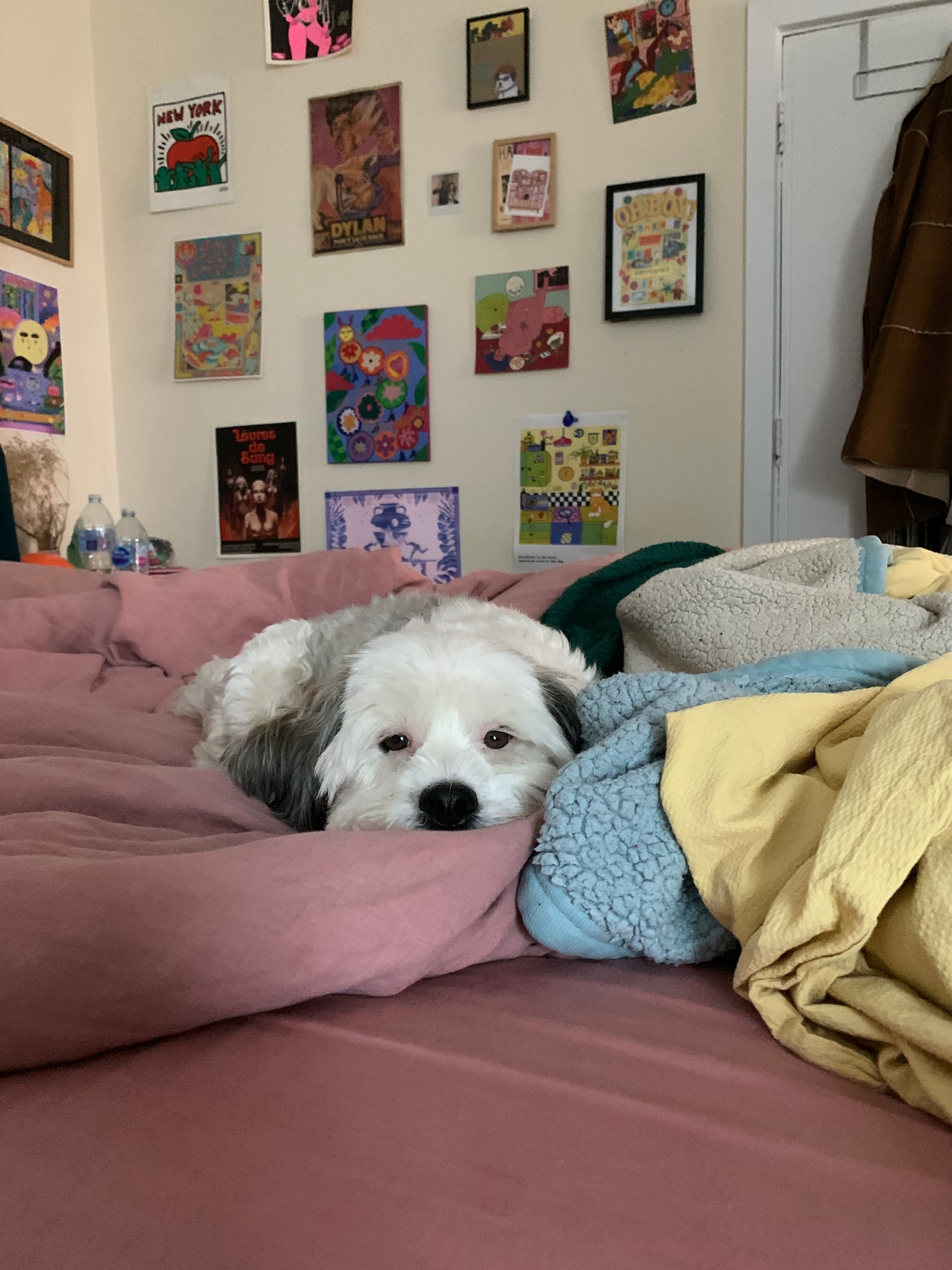 image-8