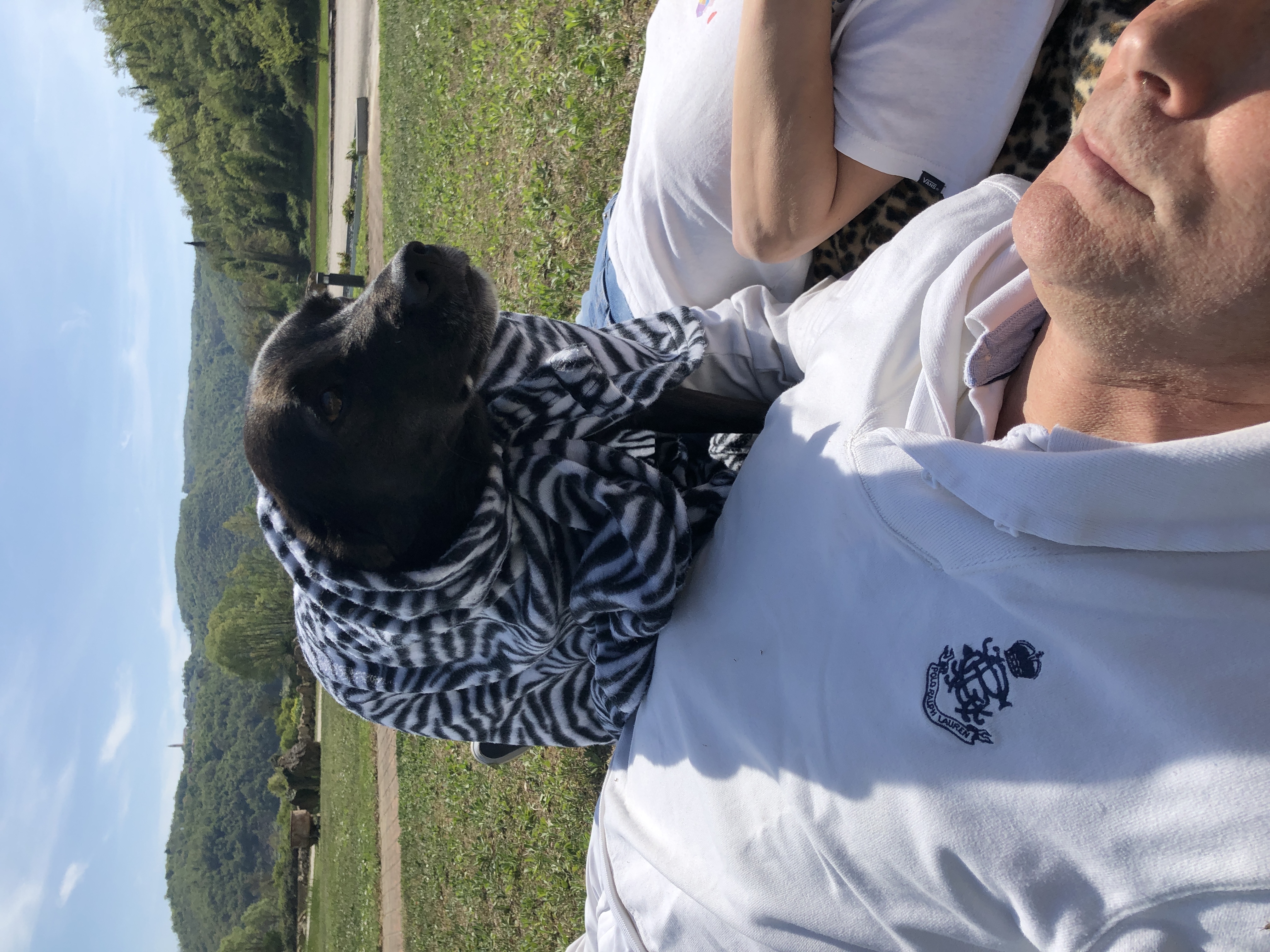 image-5