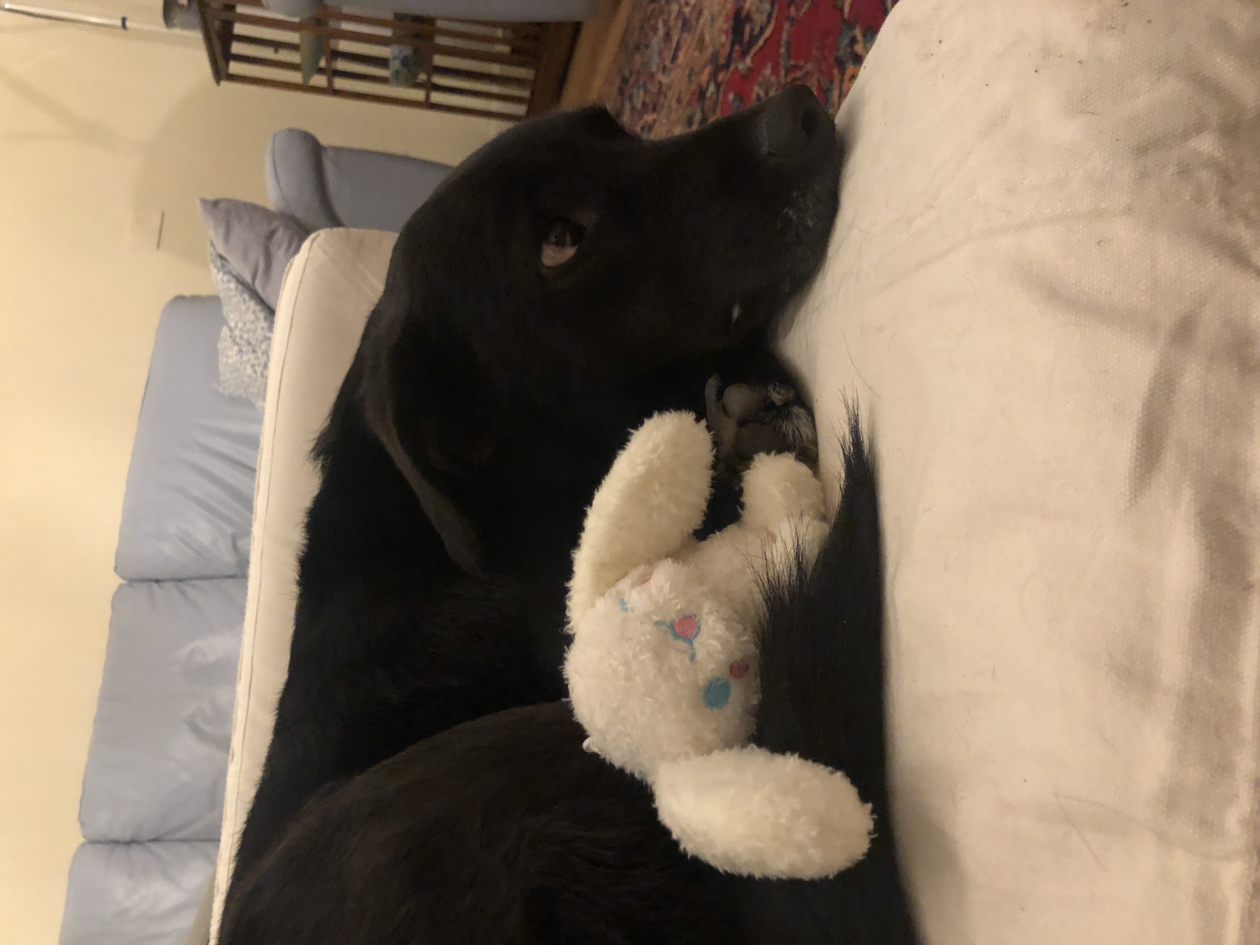 image-8