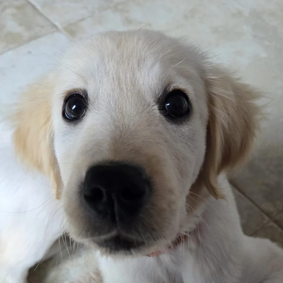 winnie