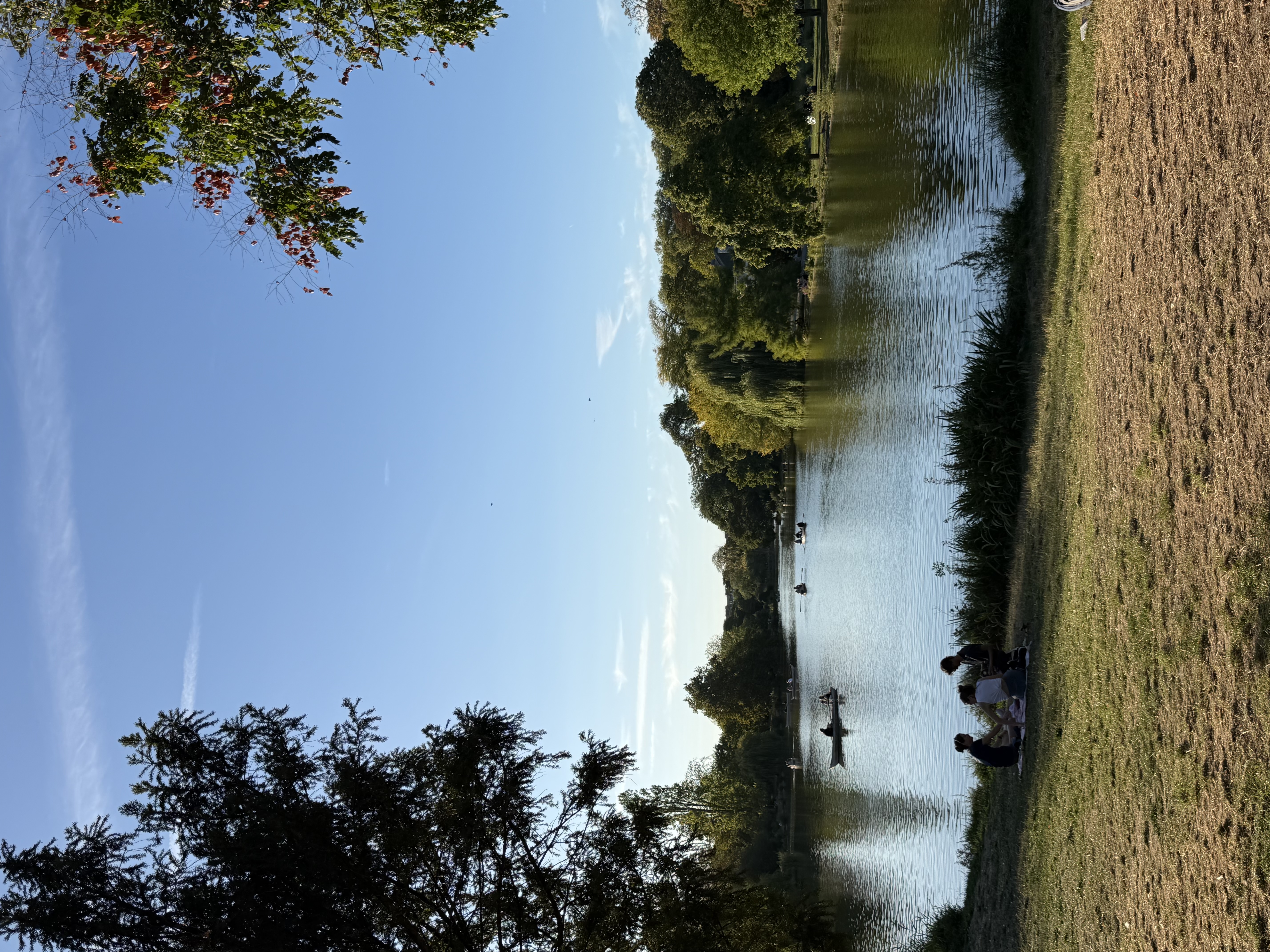 image-17