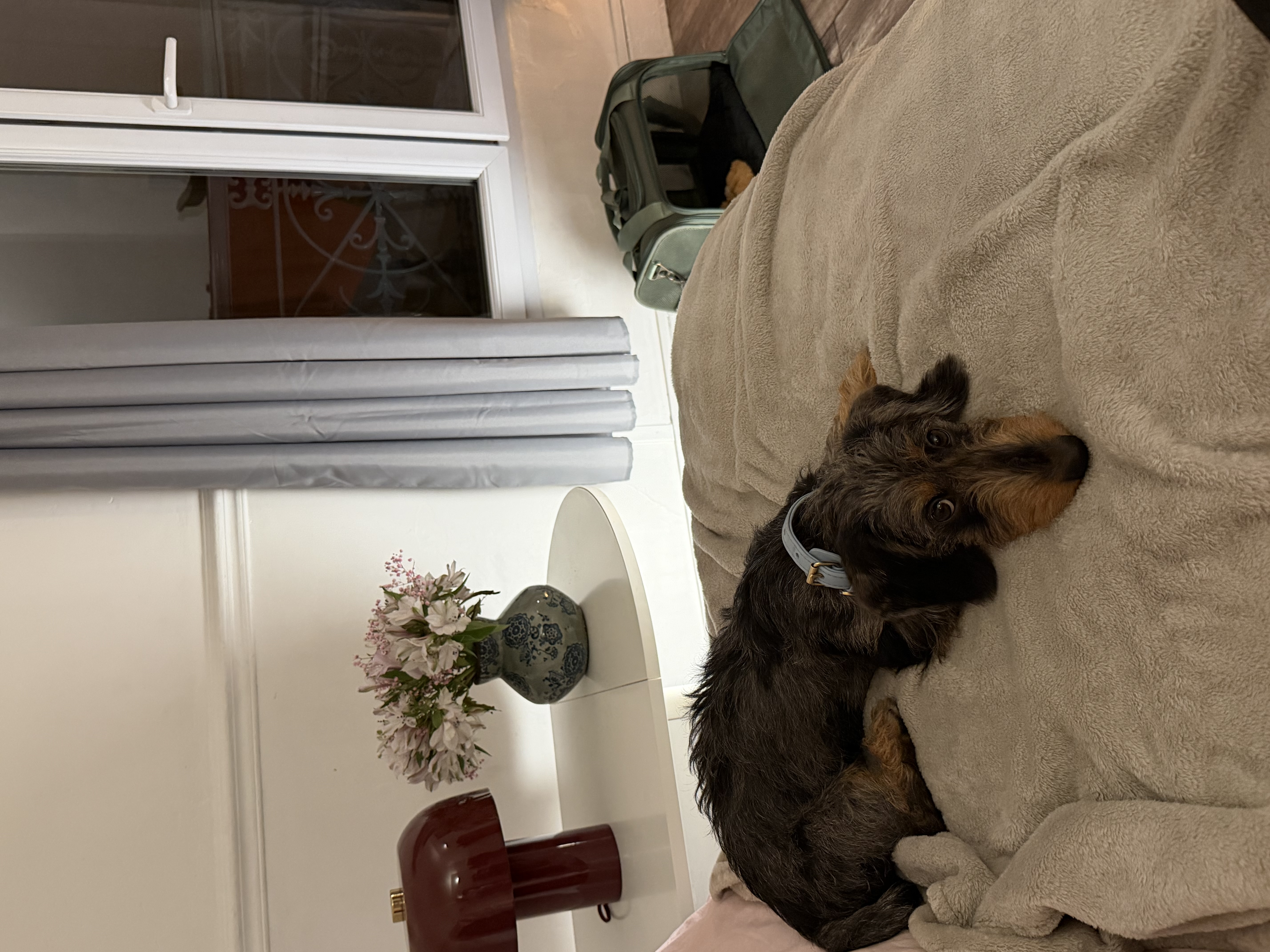 image-13
