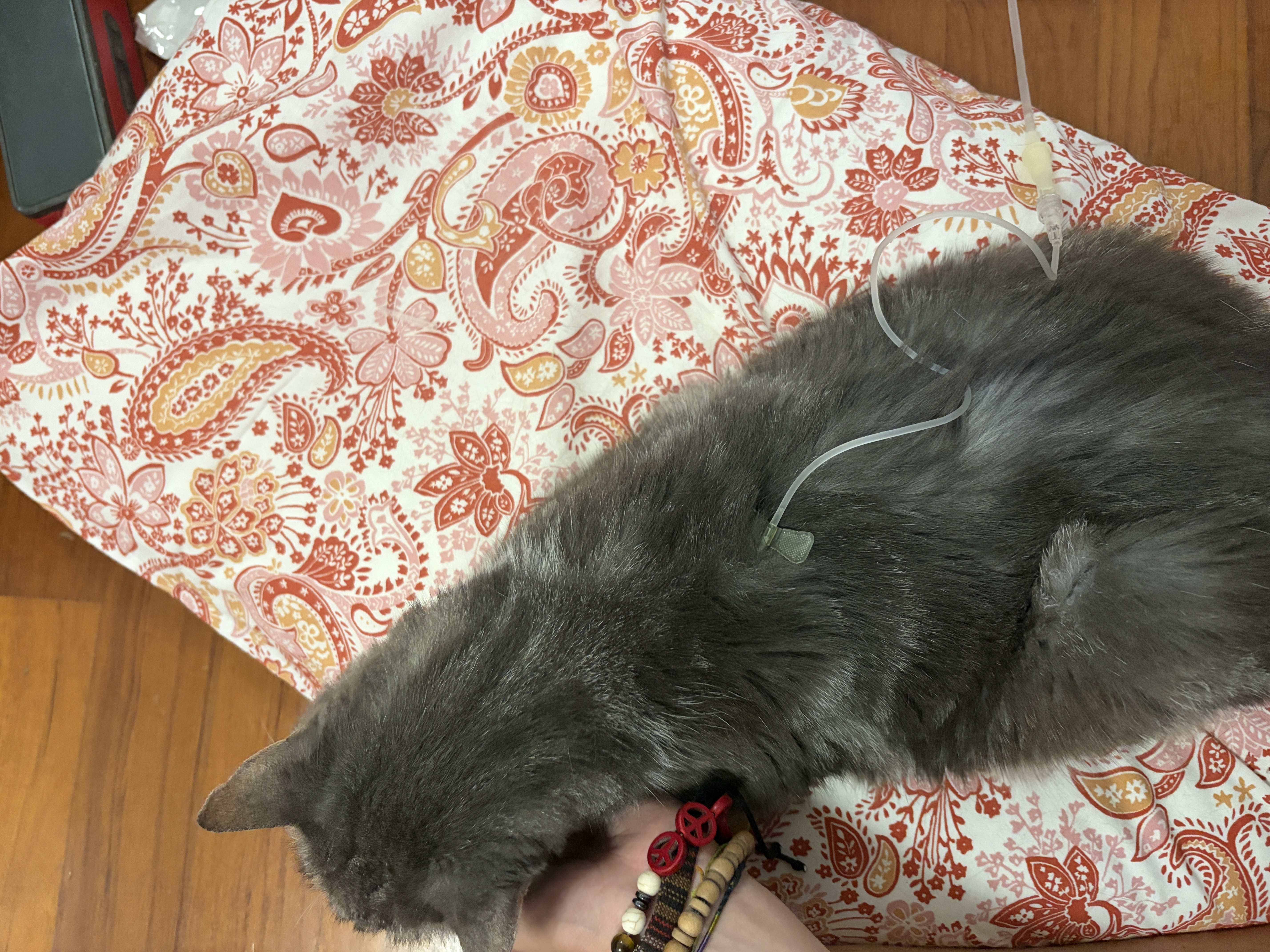 image-6