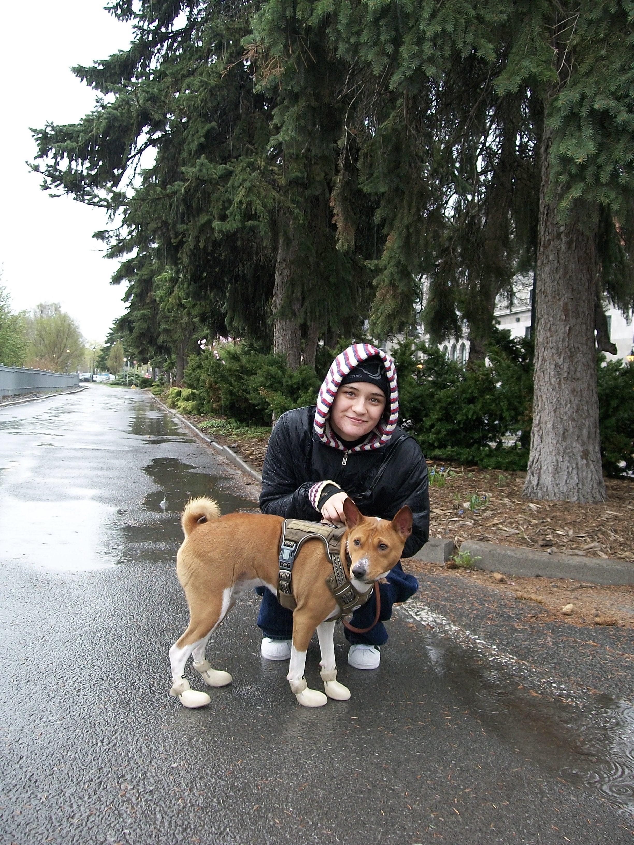 image-13