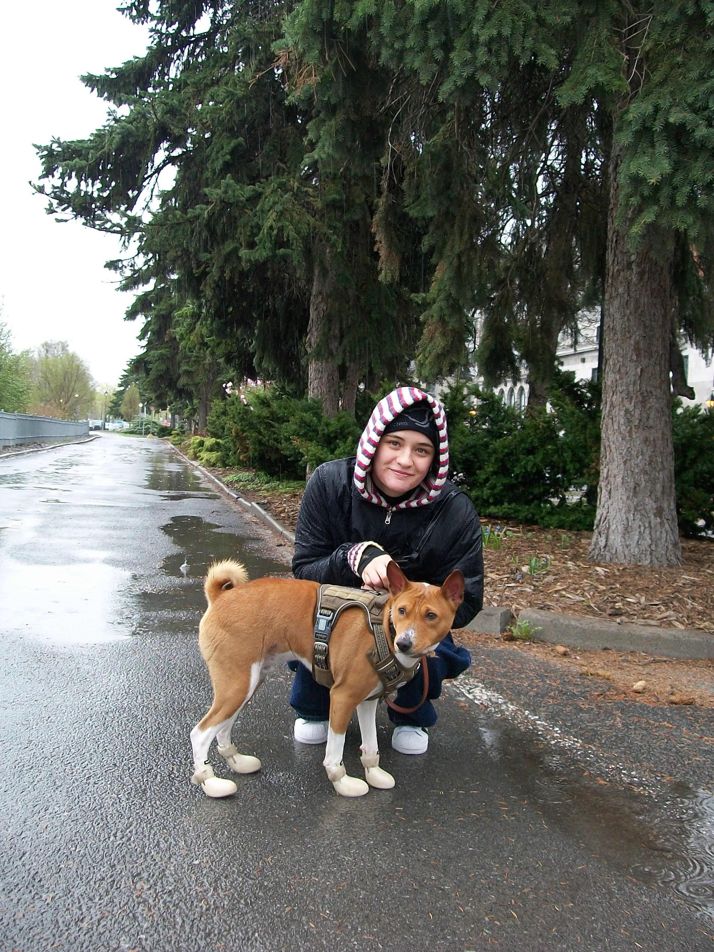 image-13