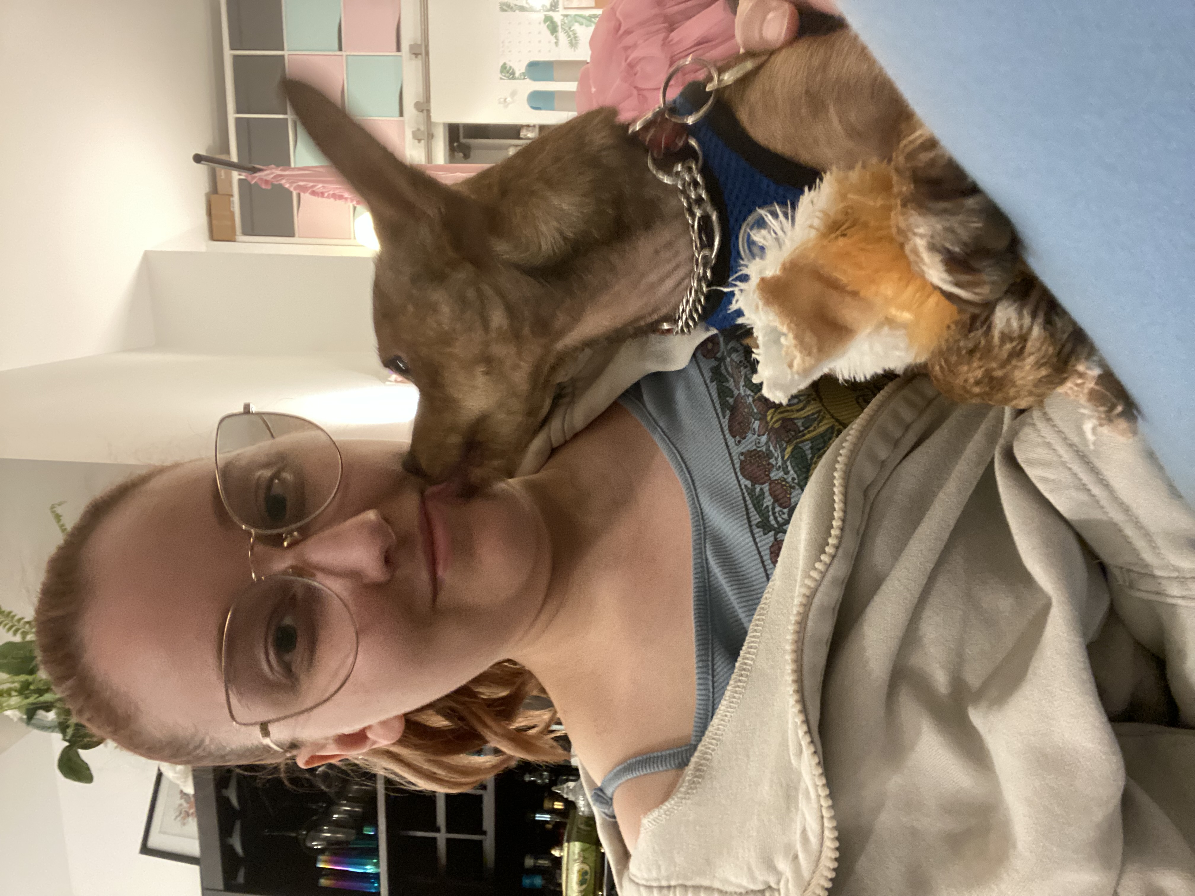 image-6