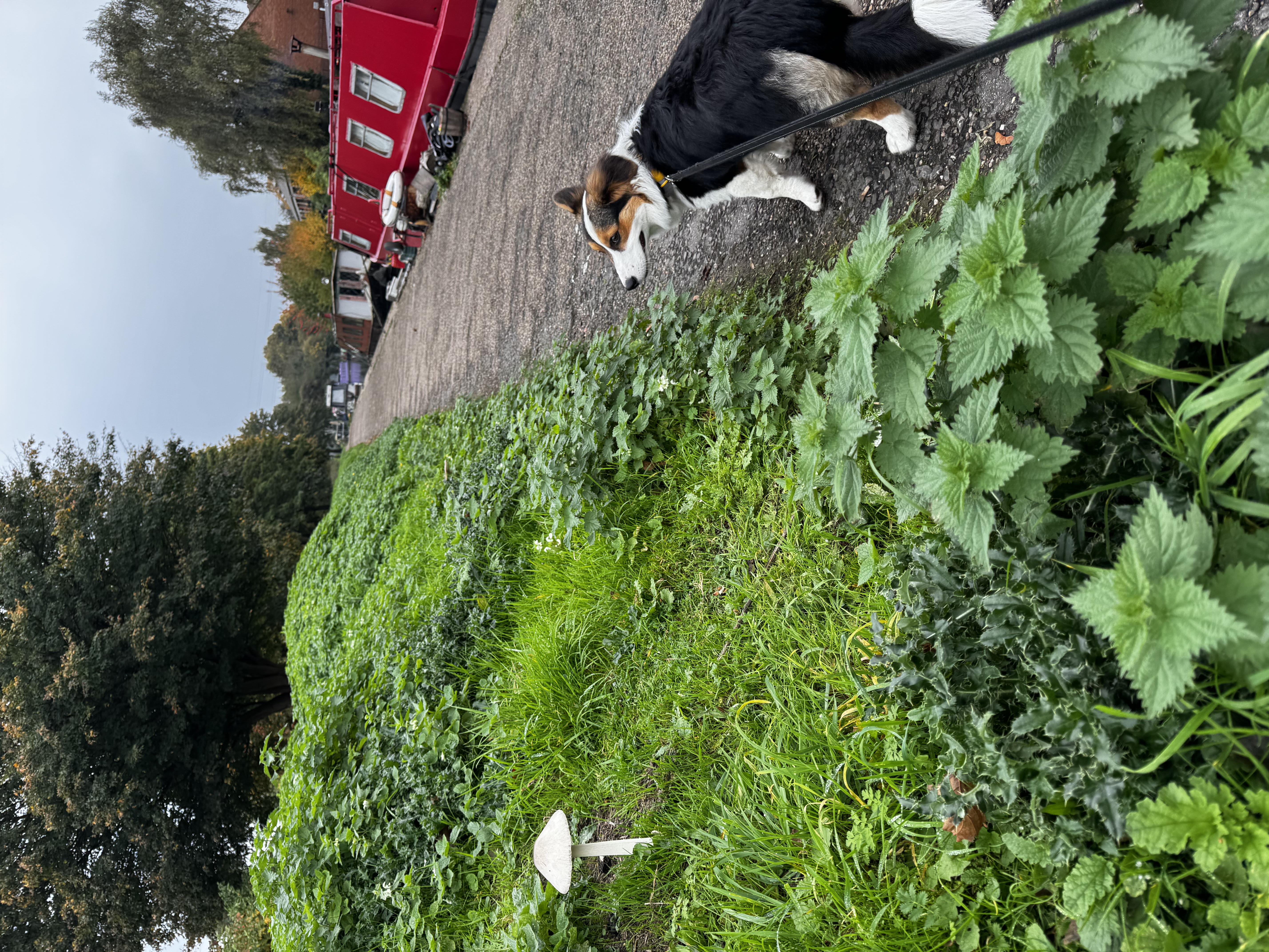 image-10