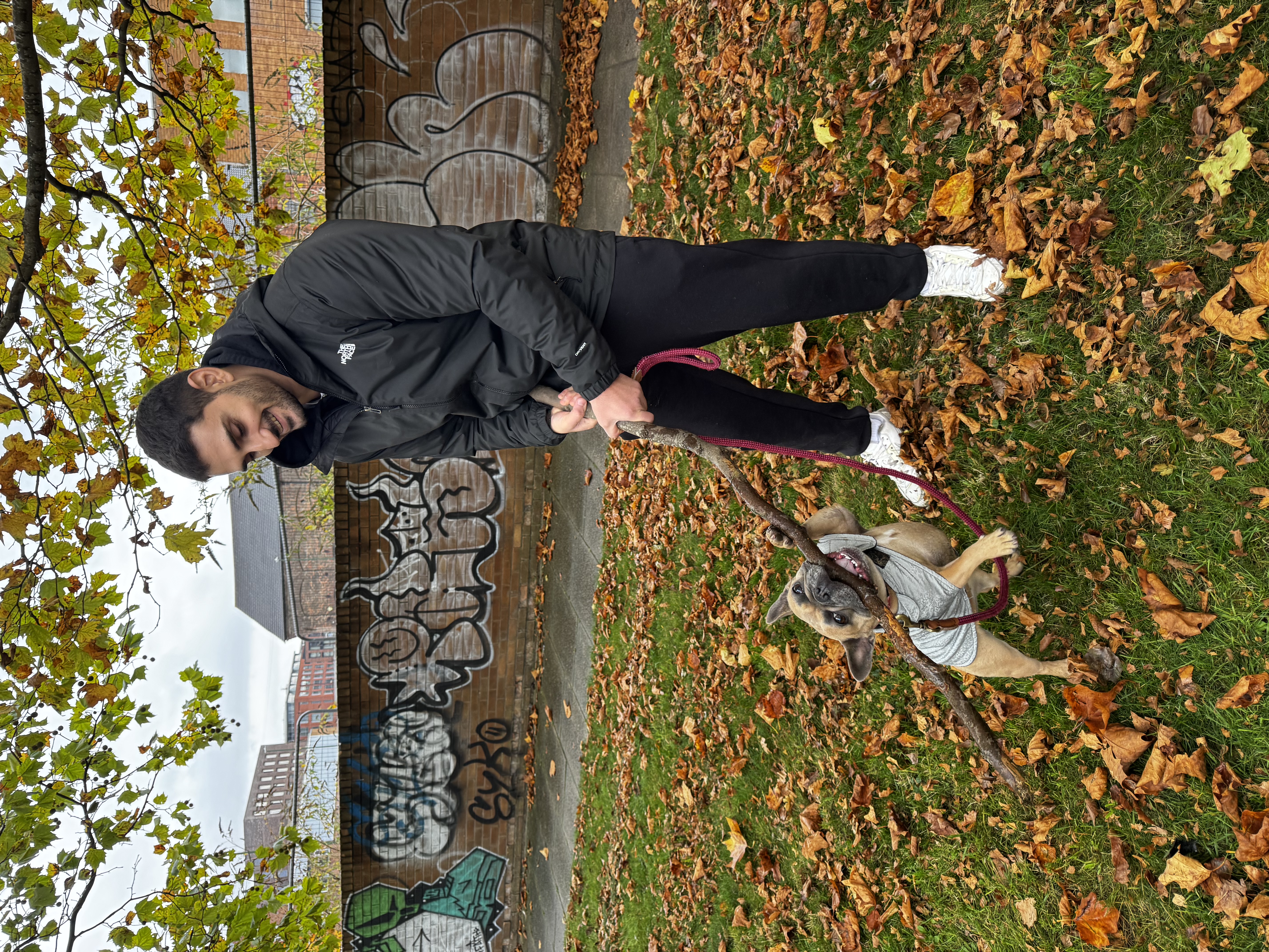 image-7