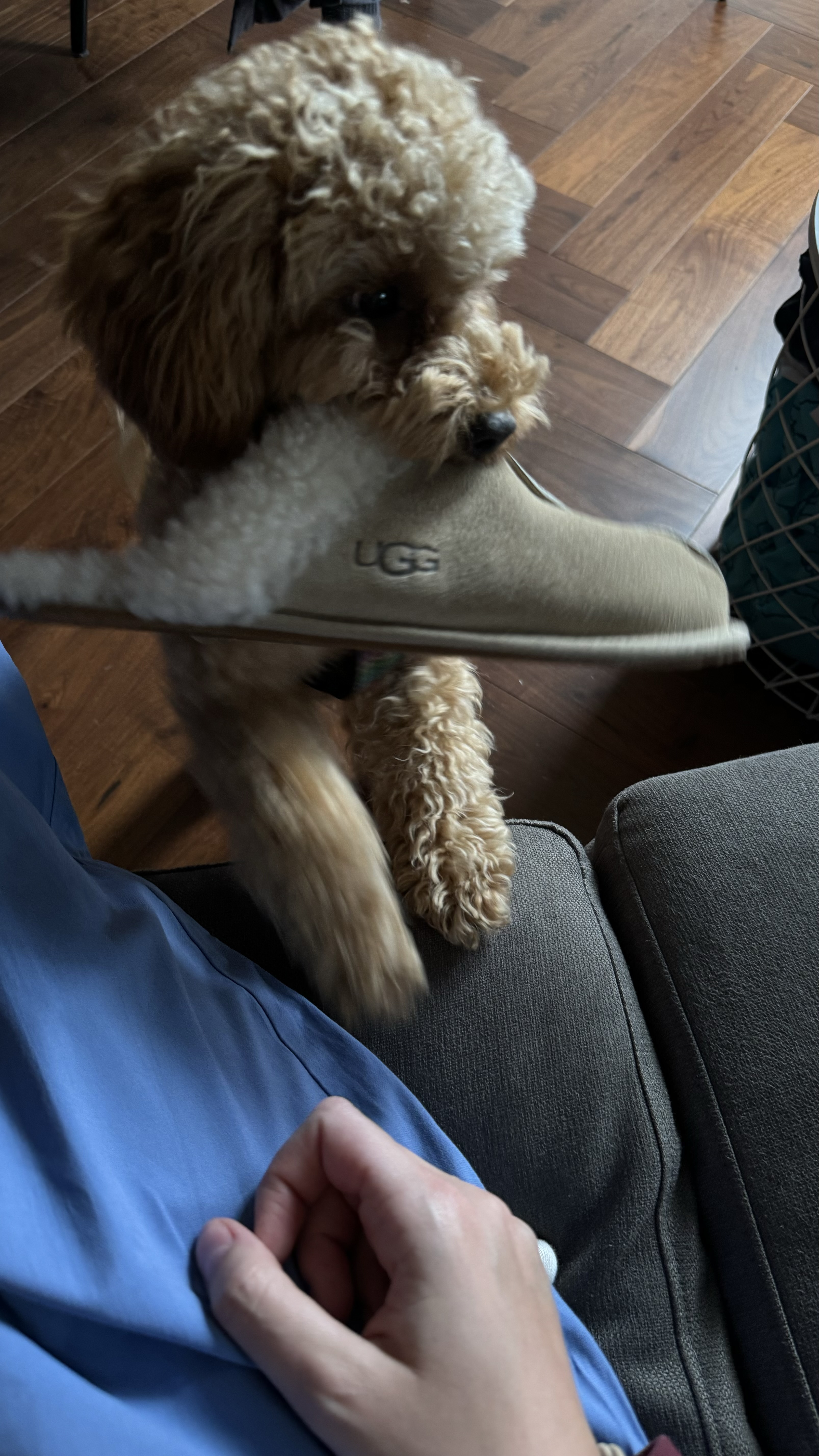image-9