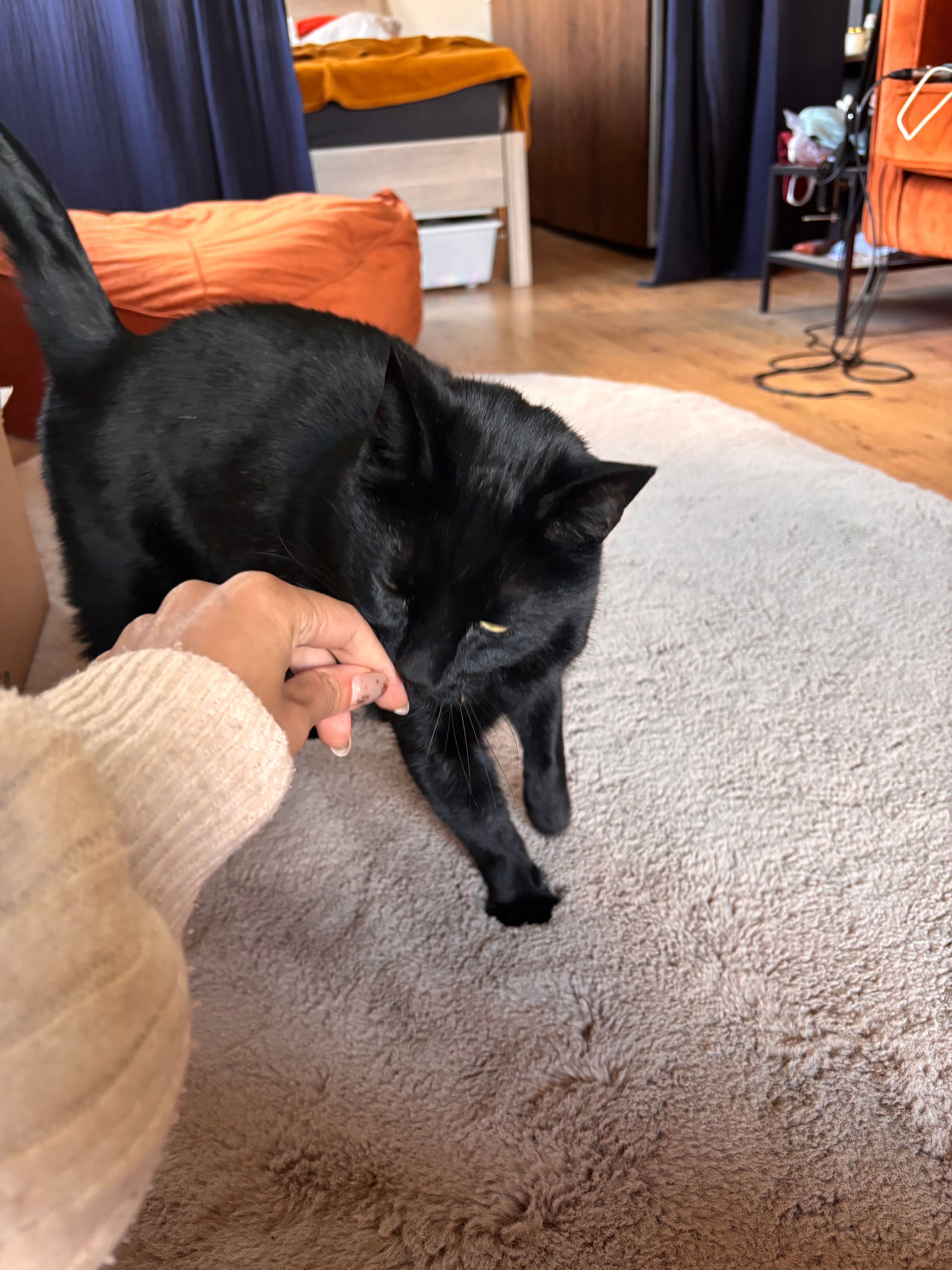 image-12