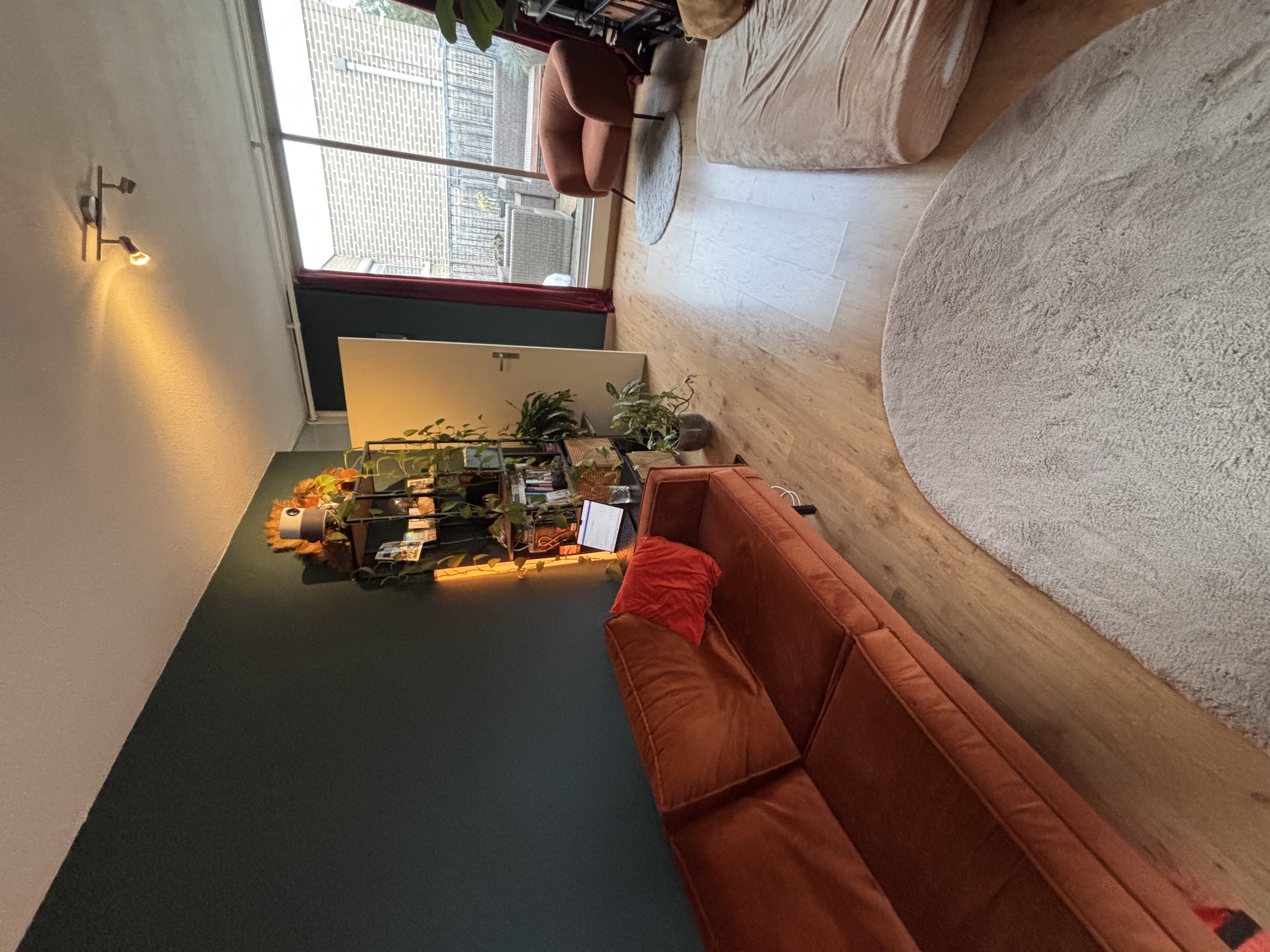 image-8