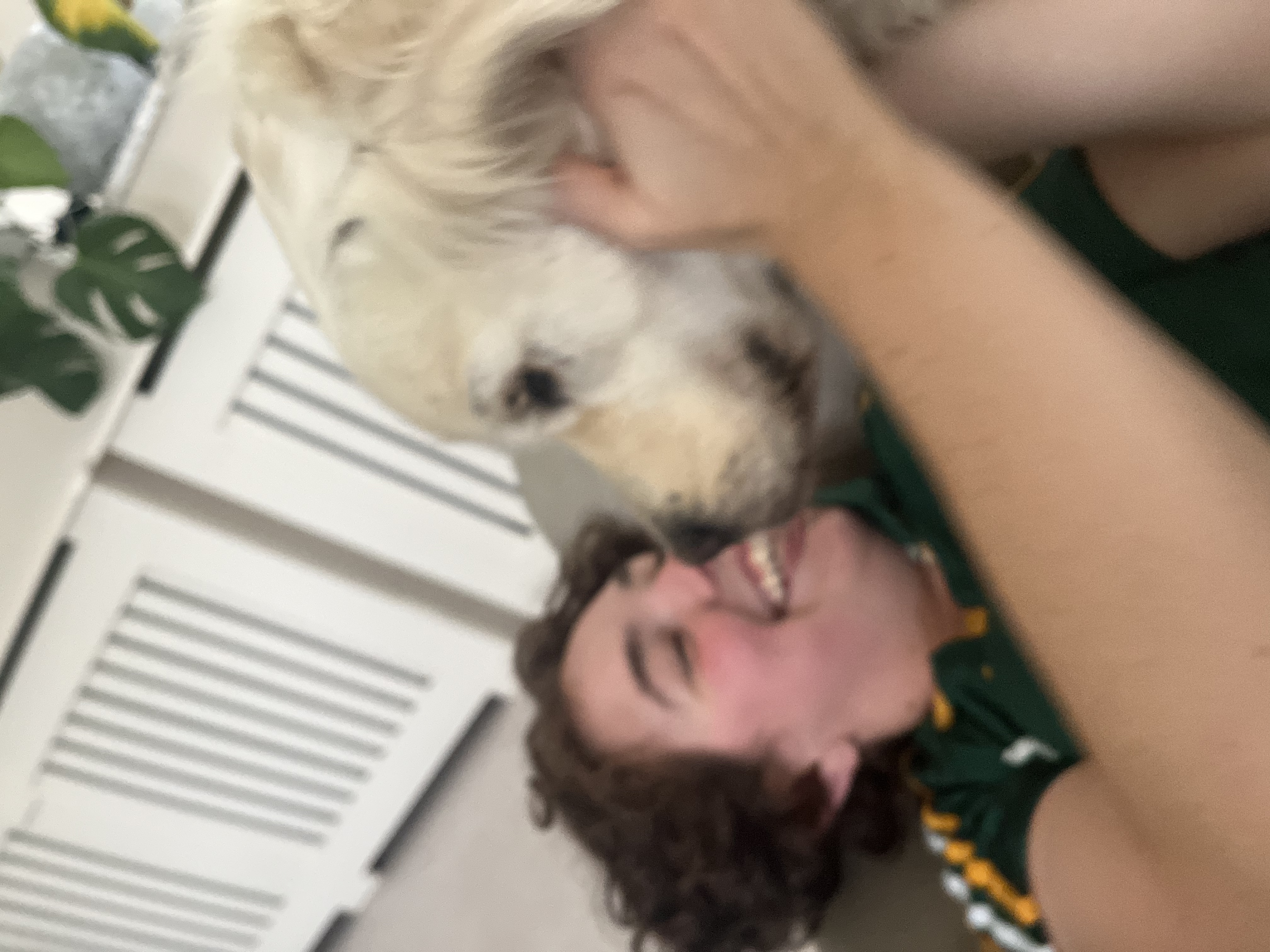 image-8