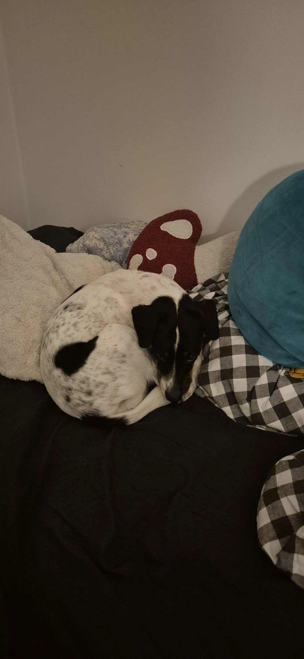 image-10